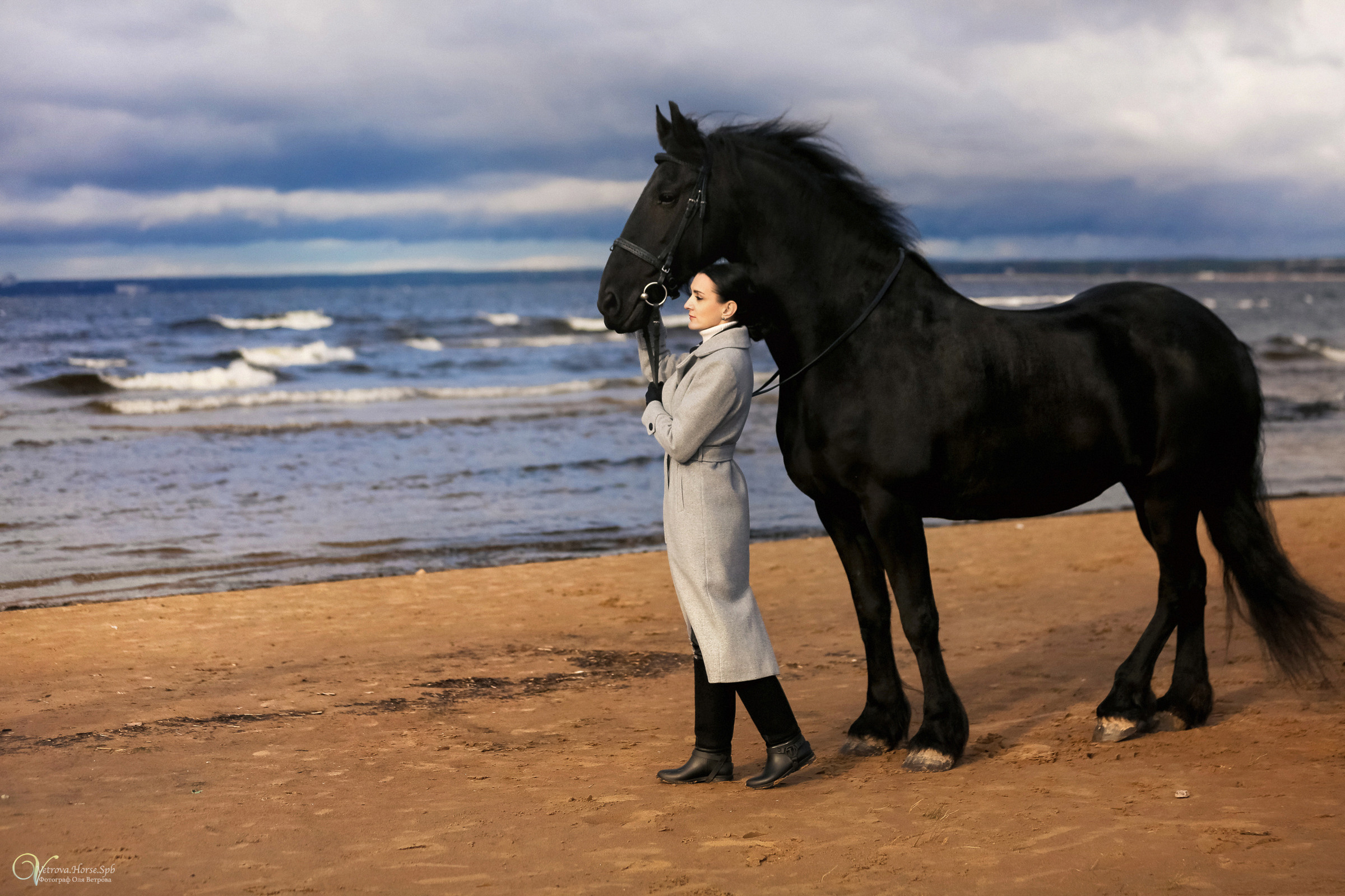 Залив  и лошади. Фотограф женский и мужской портрет Санкт-Петербург