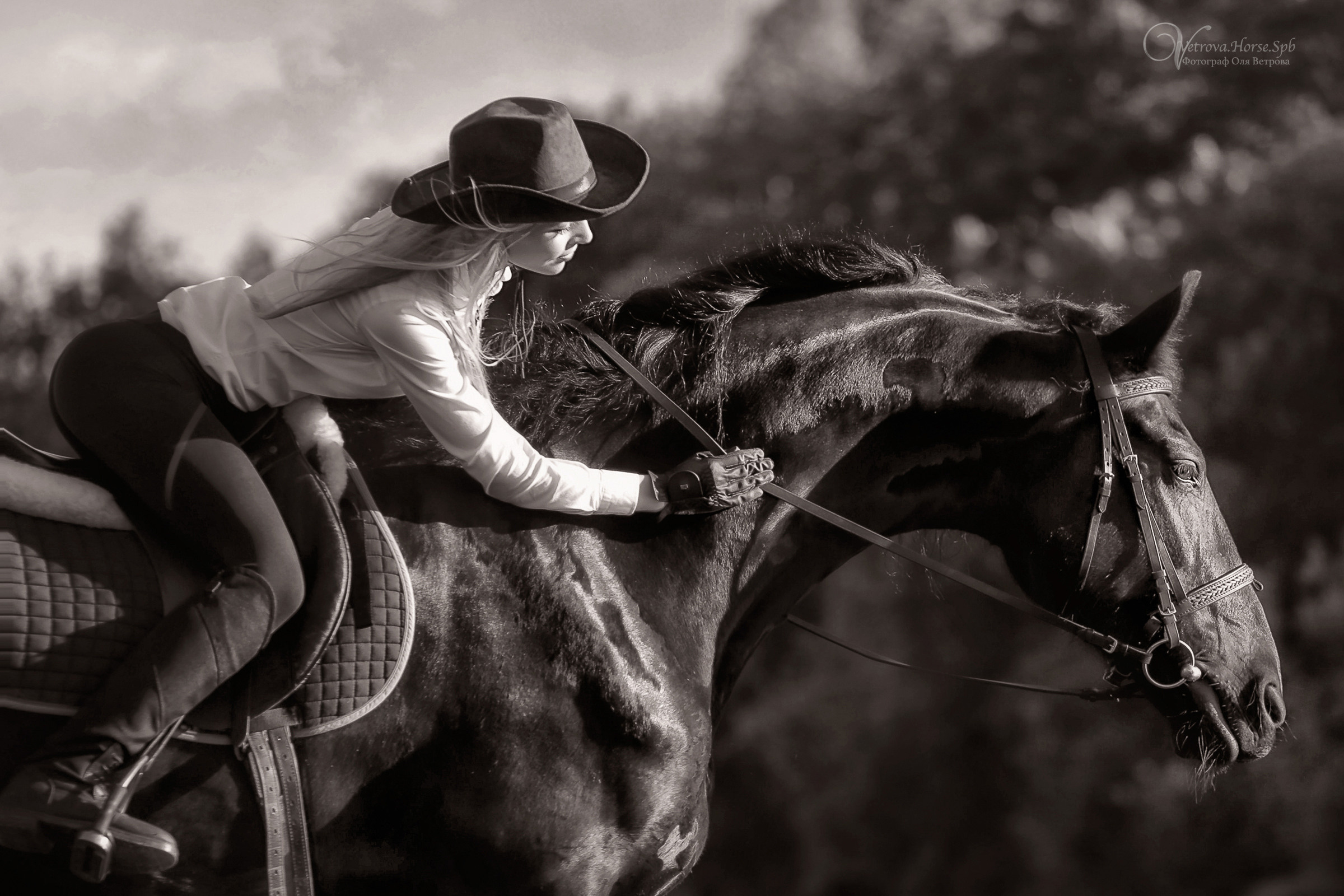 Съемка с лошадью на водопаде. Фотограф женский и мужской портрет Санкт-Петербург