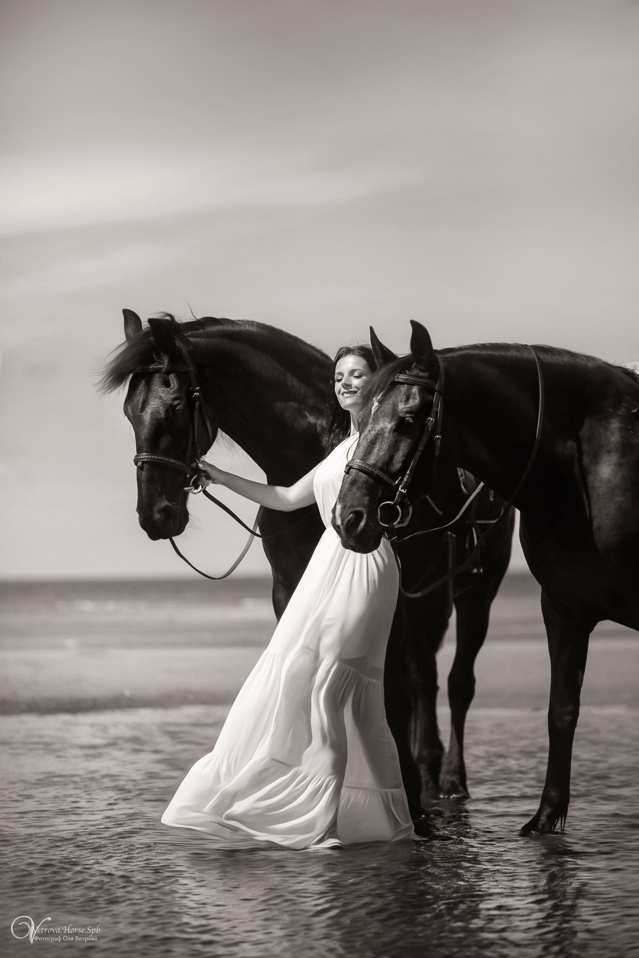 Фотосессия  с двумя конями в Санкт-Петербурге. Фотограф женский и мужской портрет Санкт-Петербург