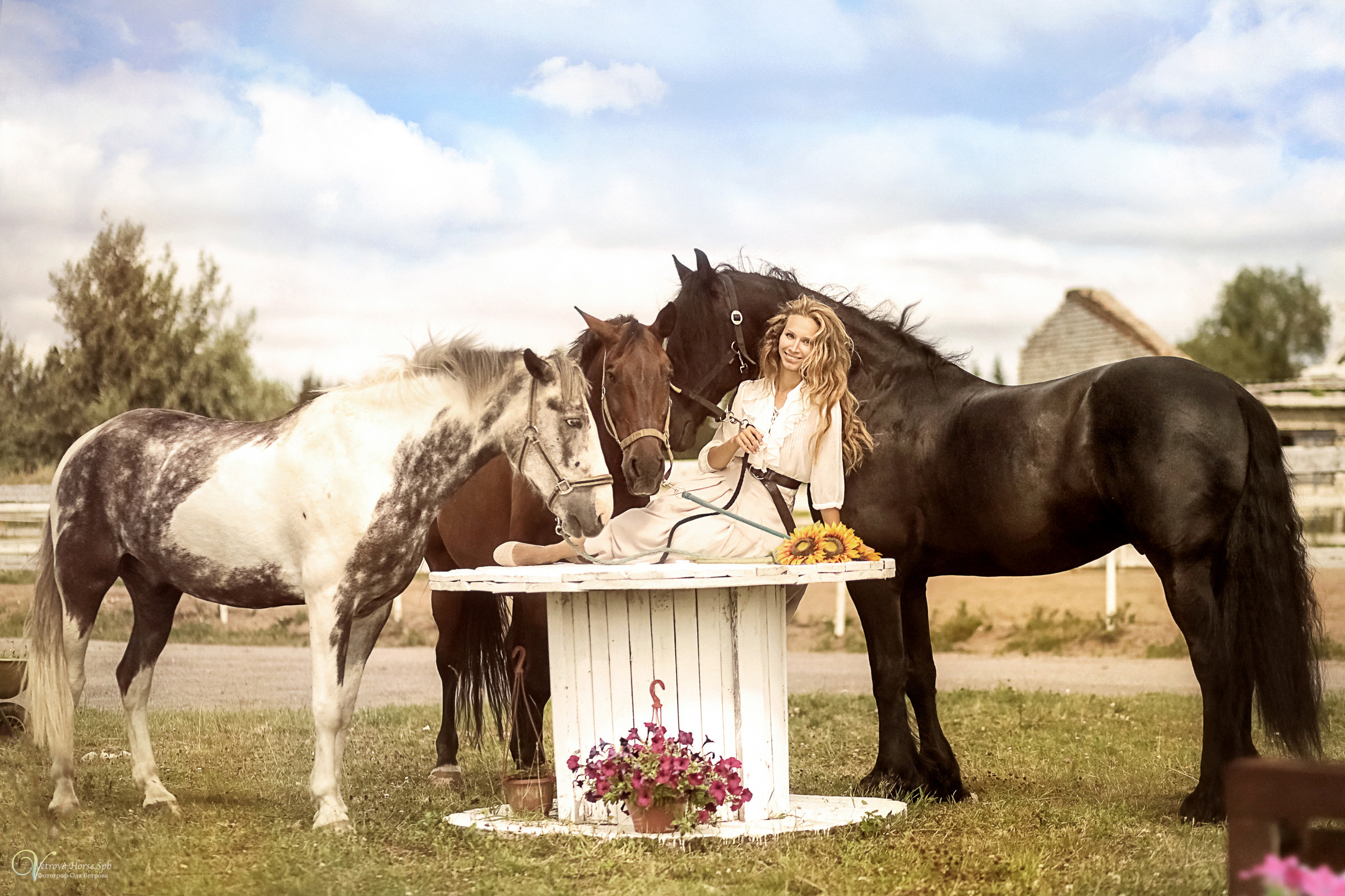 Фотосессия девушка и табун лошадей. Фотограф женский и мужской портрет Санкт-Петербург