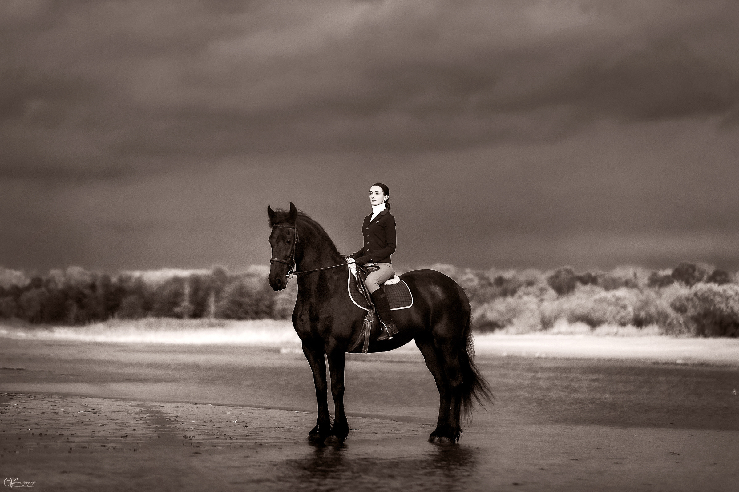 Осенняя съемка с лошадью В СПБ. Фотограф женский и мужской портрет Санкт-Петербург