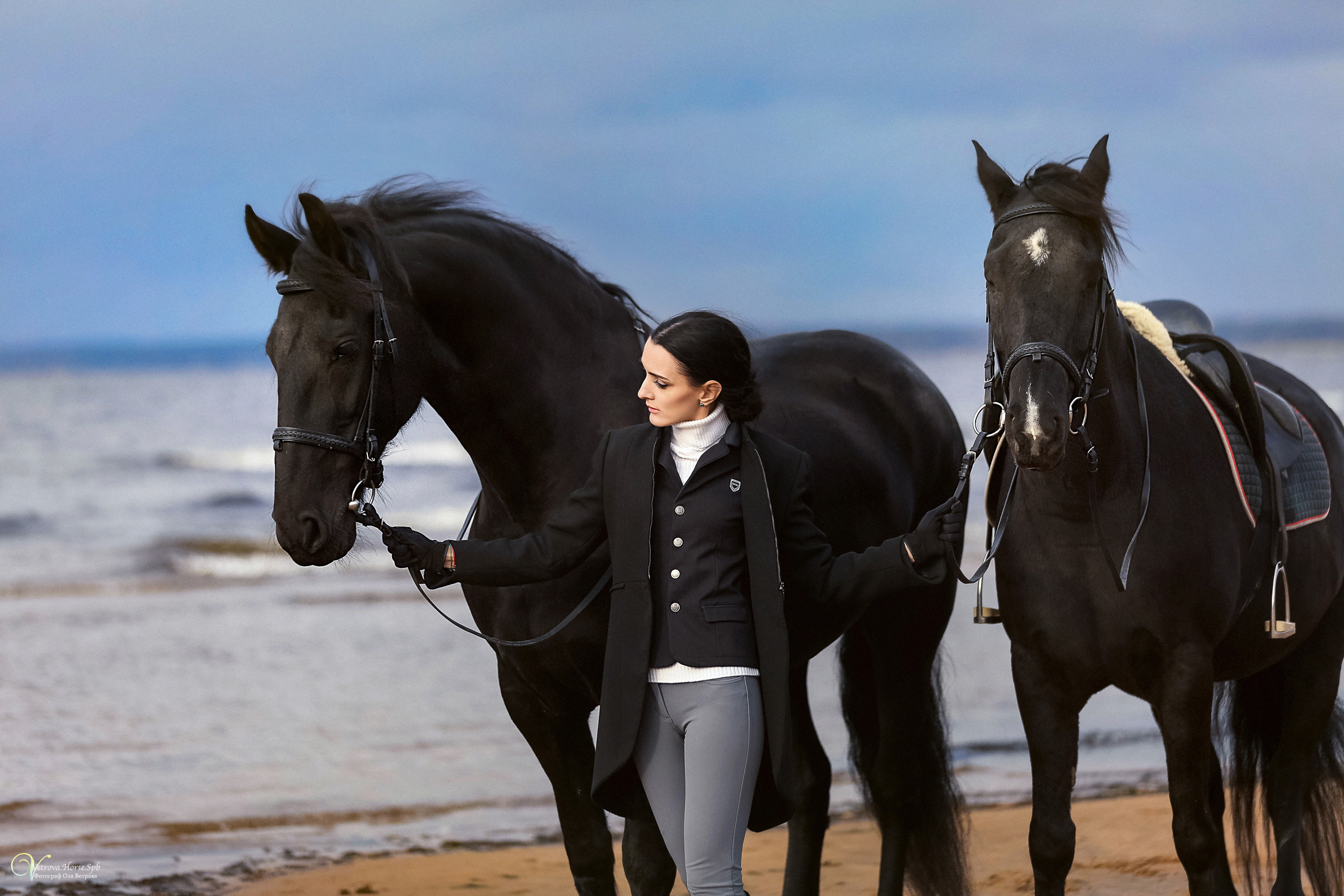 Два коня на заливе. Фотограф женский и мужской портрет Санкт-Петербург