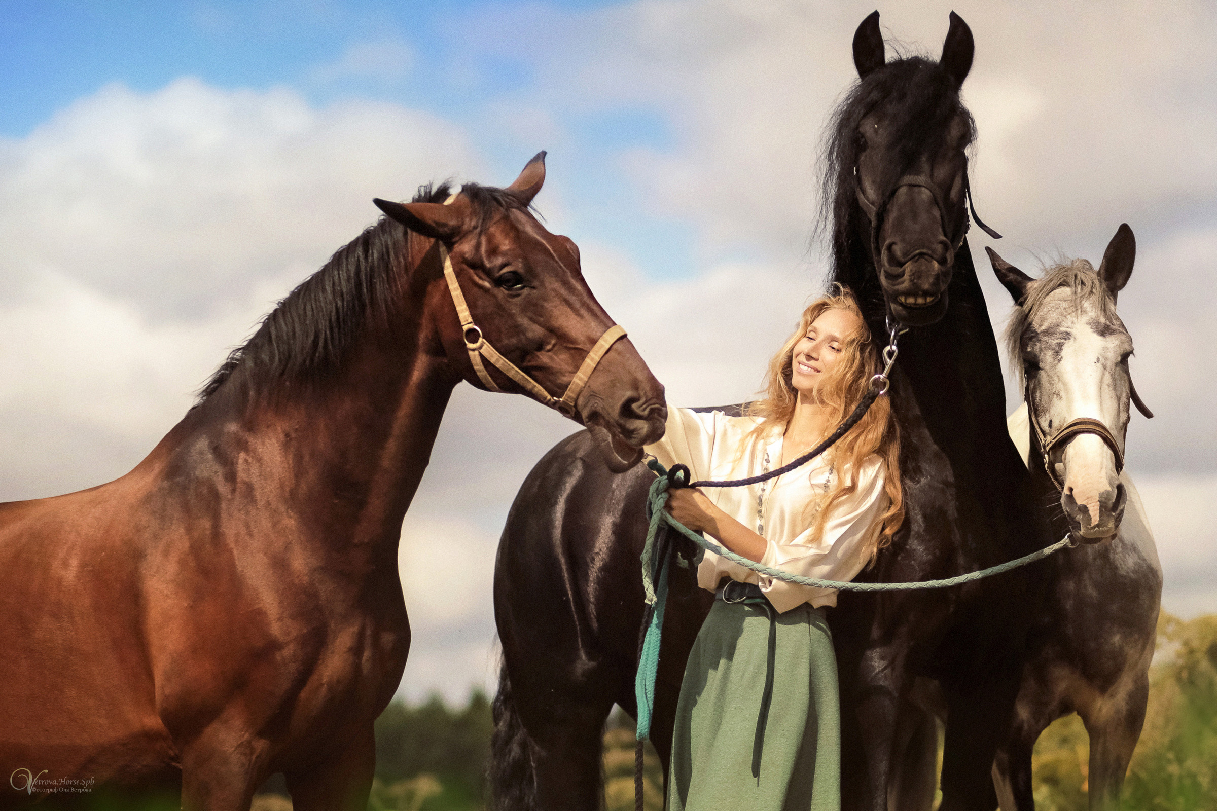Съемка с тремя лошадьми в поле. Фотограф женский и мужской портрет Санкт-Петербург