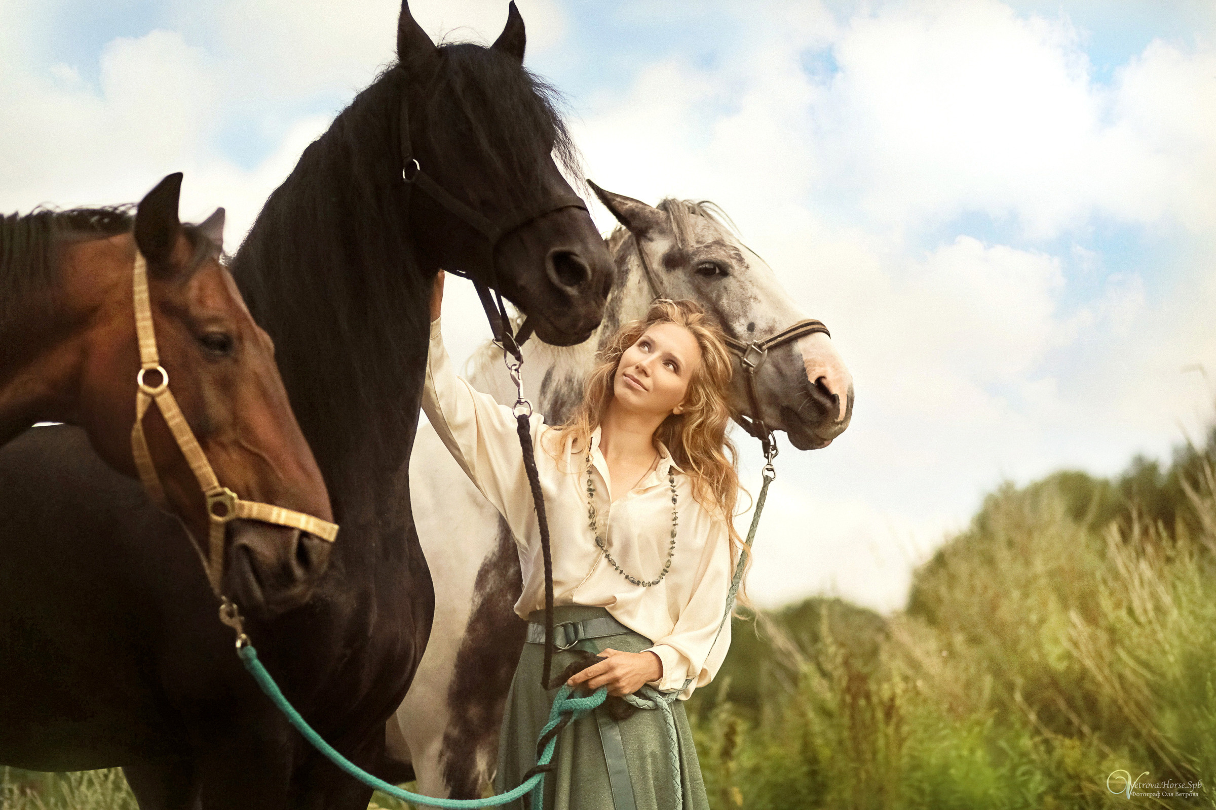 Съемка с тремя лошадьми в поле. Фотограф женский и мужской портрет Санкт-Петербург