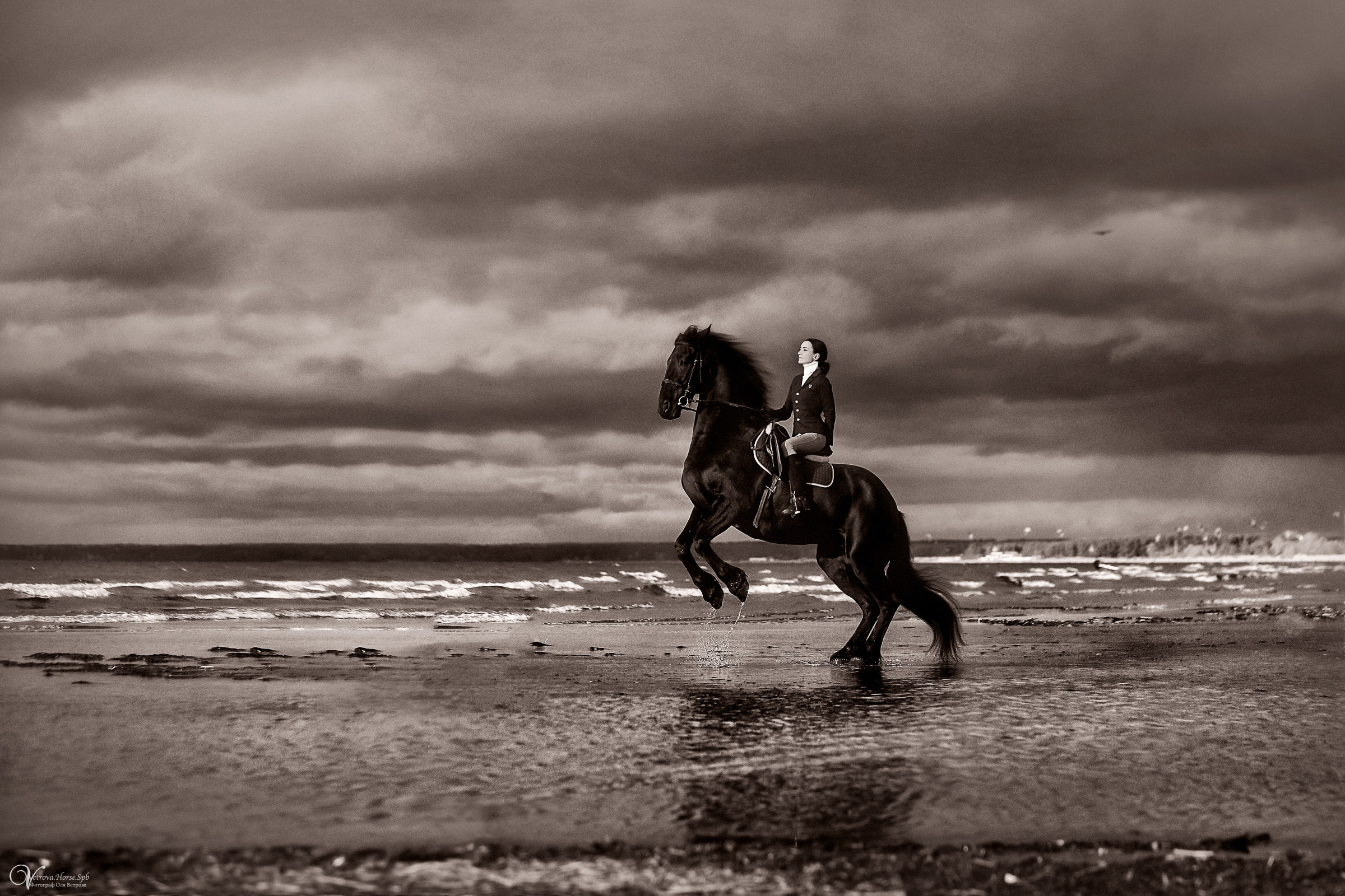 Фотосессия на заливе в двумя лошадьми СПб. Фотограф женский и мужской портрет Санкт-Петербург