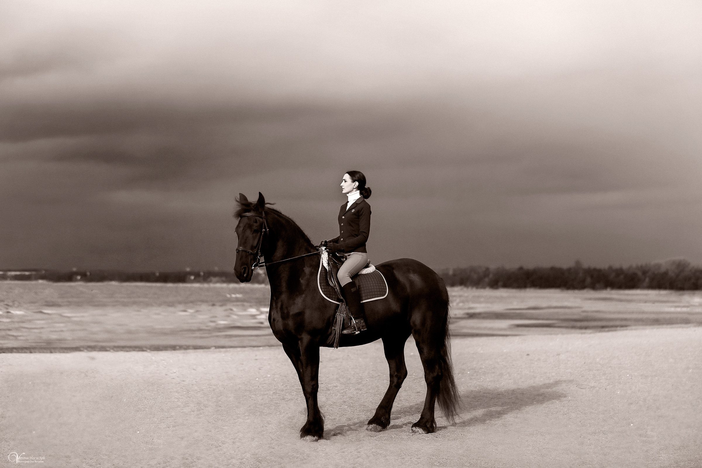 Осенняя съемка с лошадью В СПБ. Фотограф женский и мужской портрет Санкт-Петербург