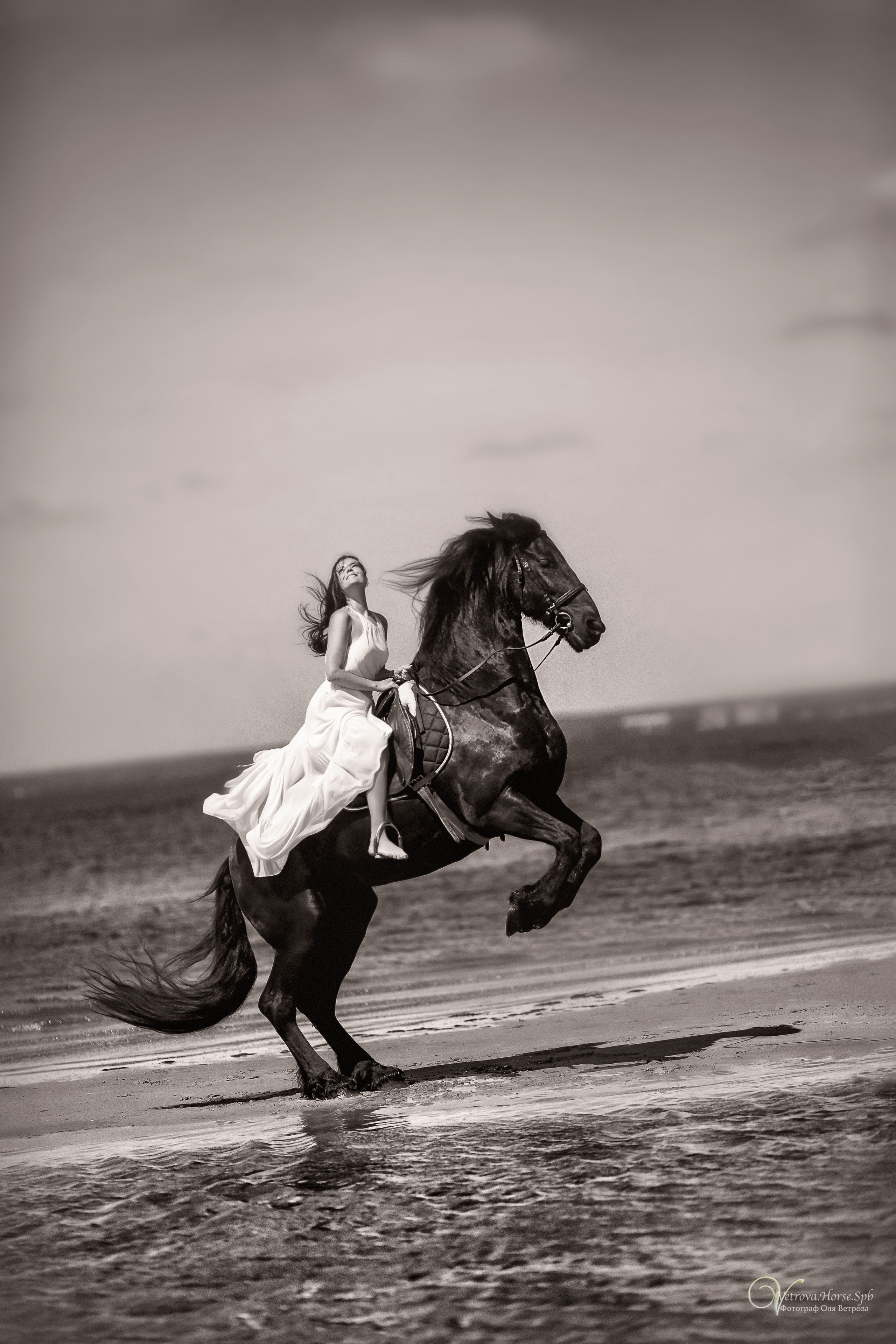 Фотосессия  с двумя конями в Санкт-Петербурге. Фотограф женский и мужской портрет Санкт-Петербург