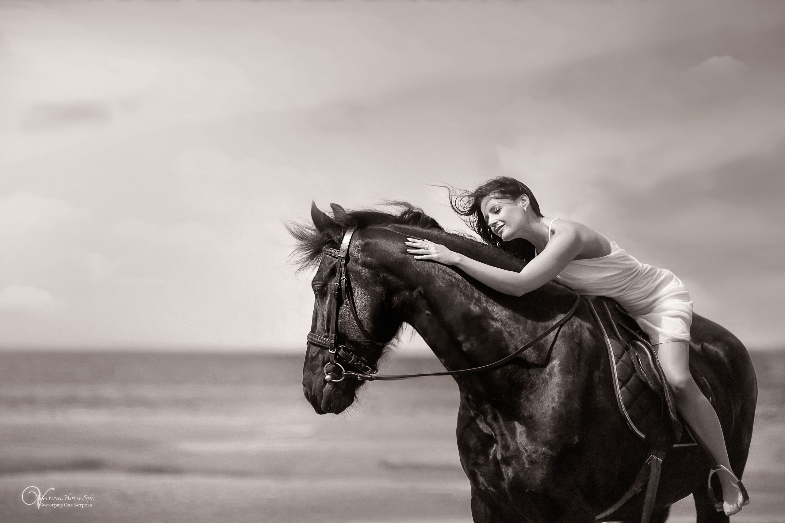 Фотосессия  с двумя конями в Санкт-Петербурге. Фотограф женский и мужской портрет Санкт-Петербург