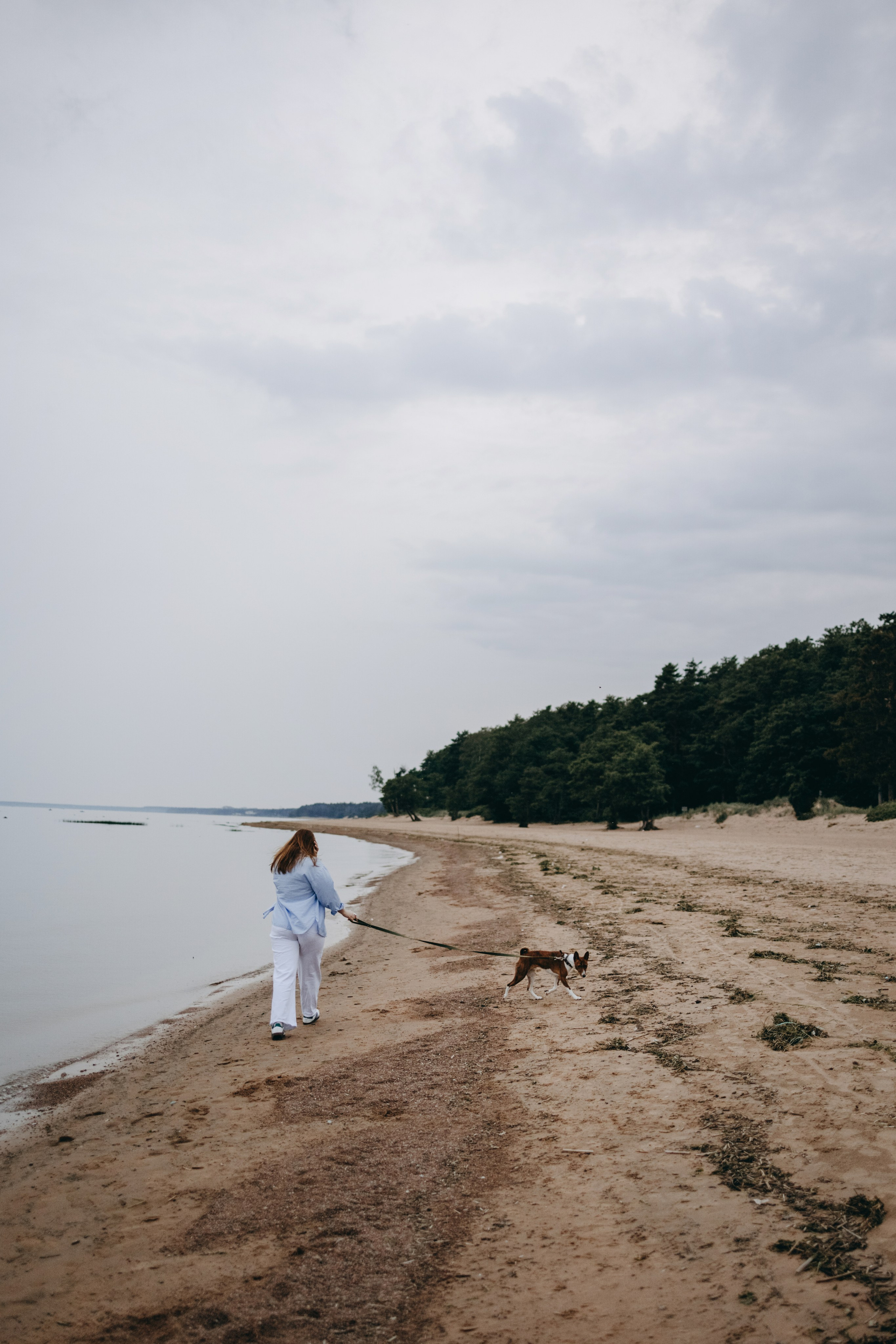 Даша и Арчи. Фотограф — Анималист | Санкт-Петербург