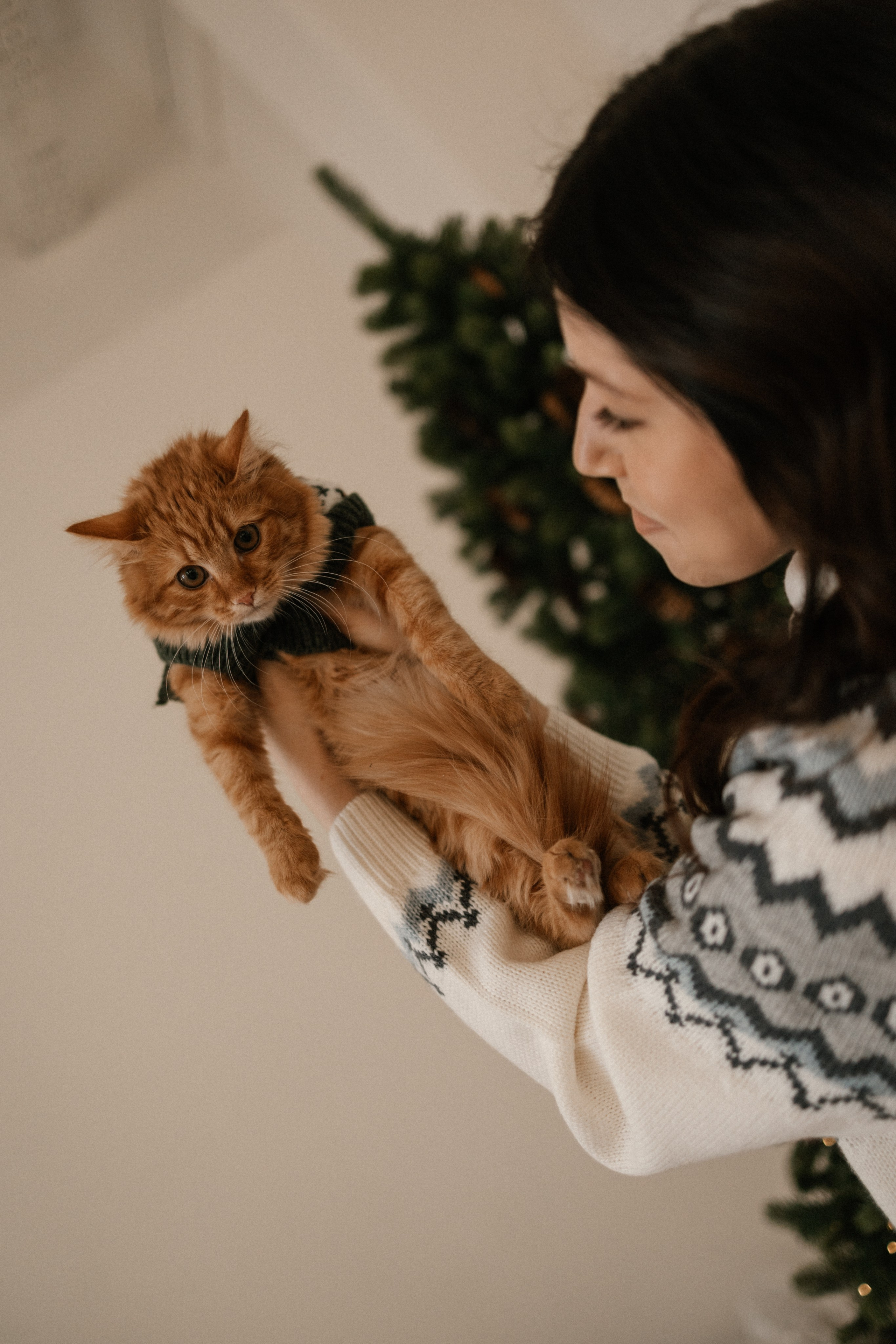 Камилла и ее девочки. Фотограф — Анималист | Санкт-Петербург