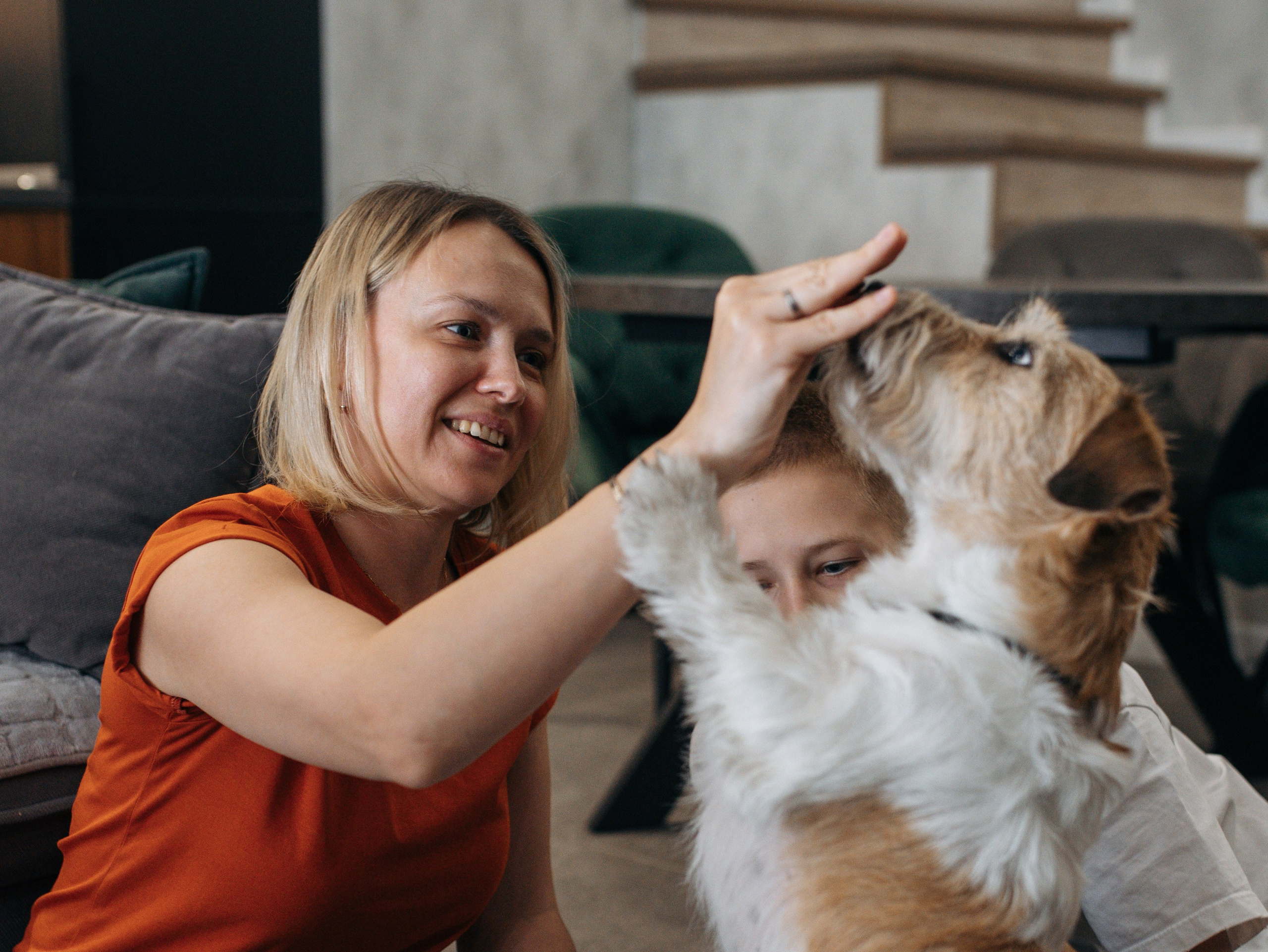 День рождение Зенита. Фотограф-анималист в Москве Кириллова Татьяна