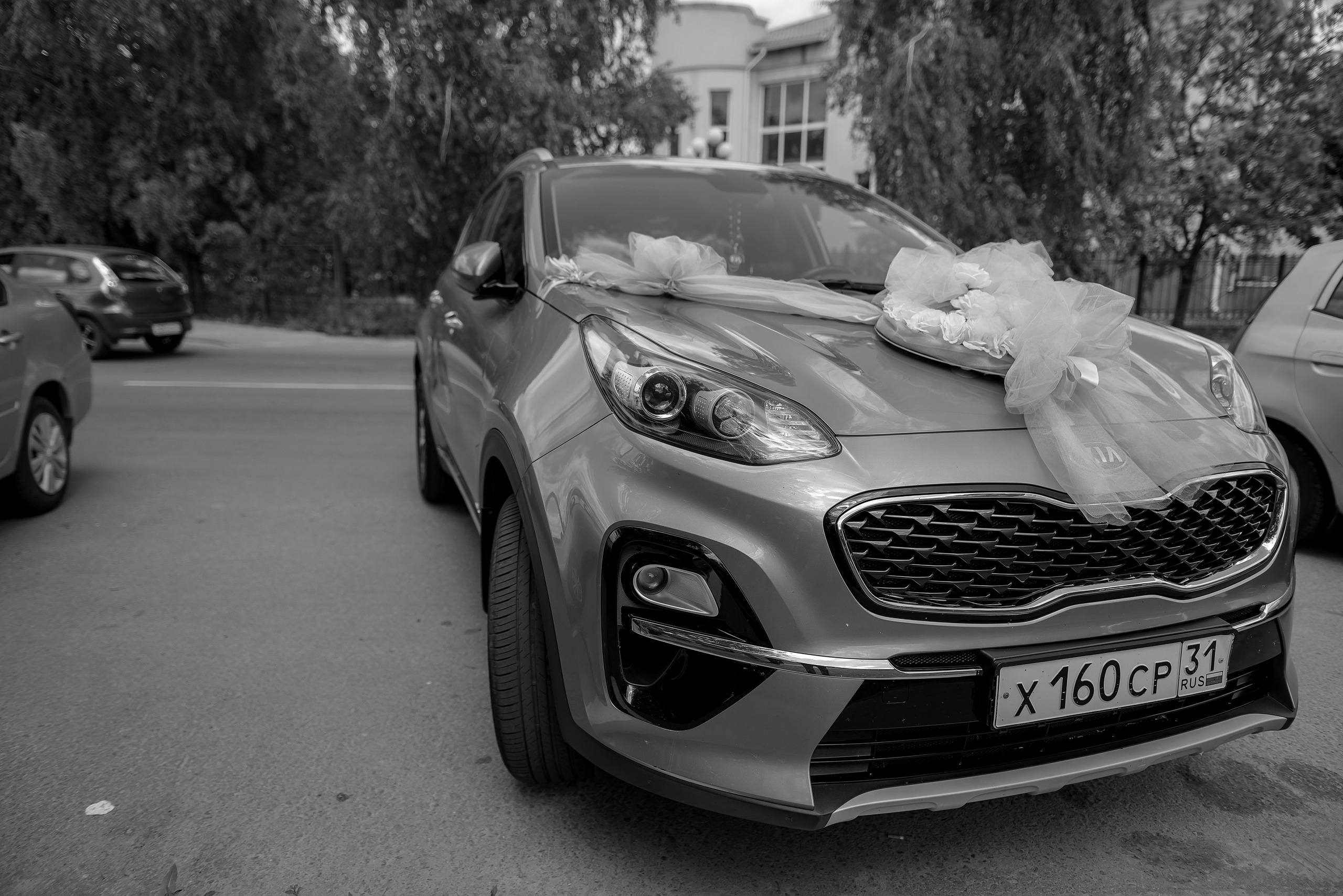 Софья и Юра. Свадебный фотограф Белгород Валуйки Старый Оскол Воронеж