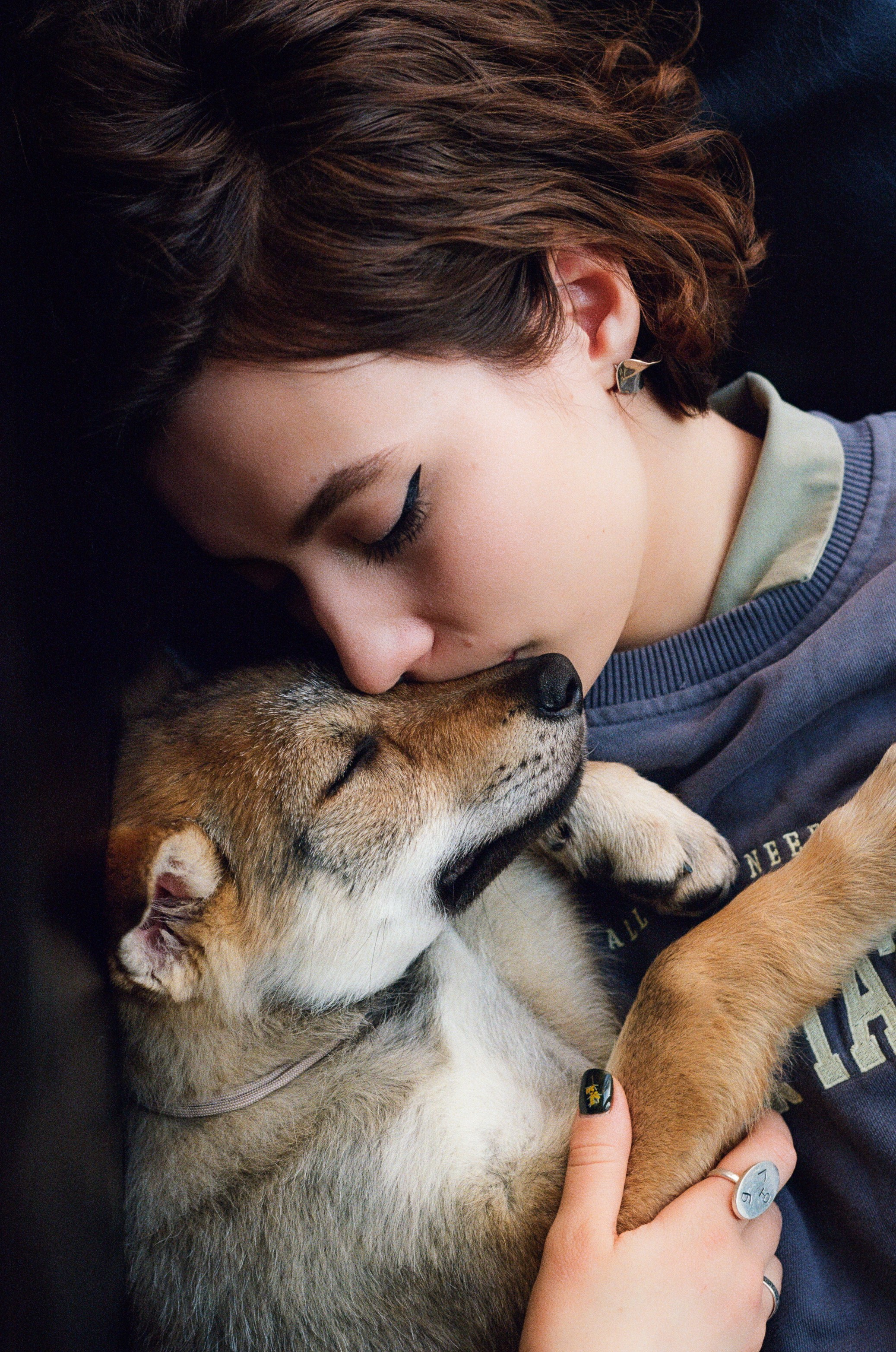 Animals. Arseny Sapelkin