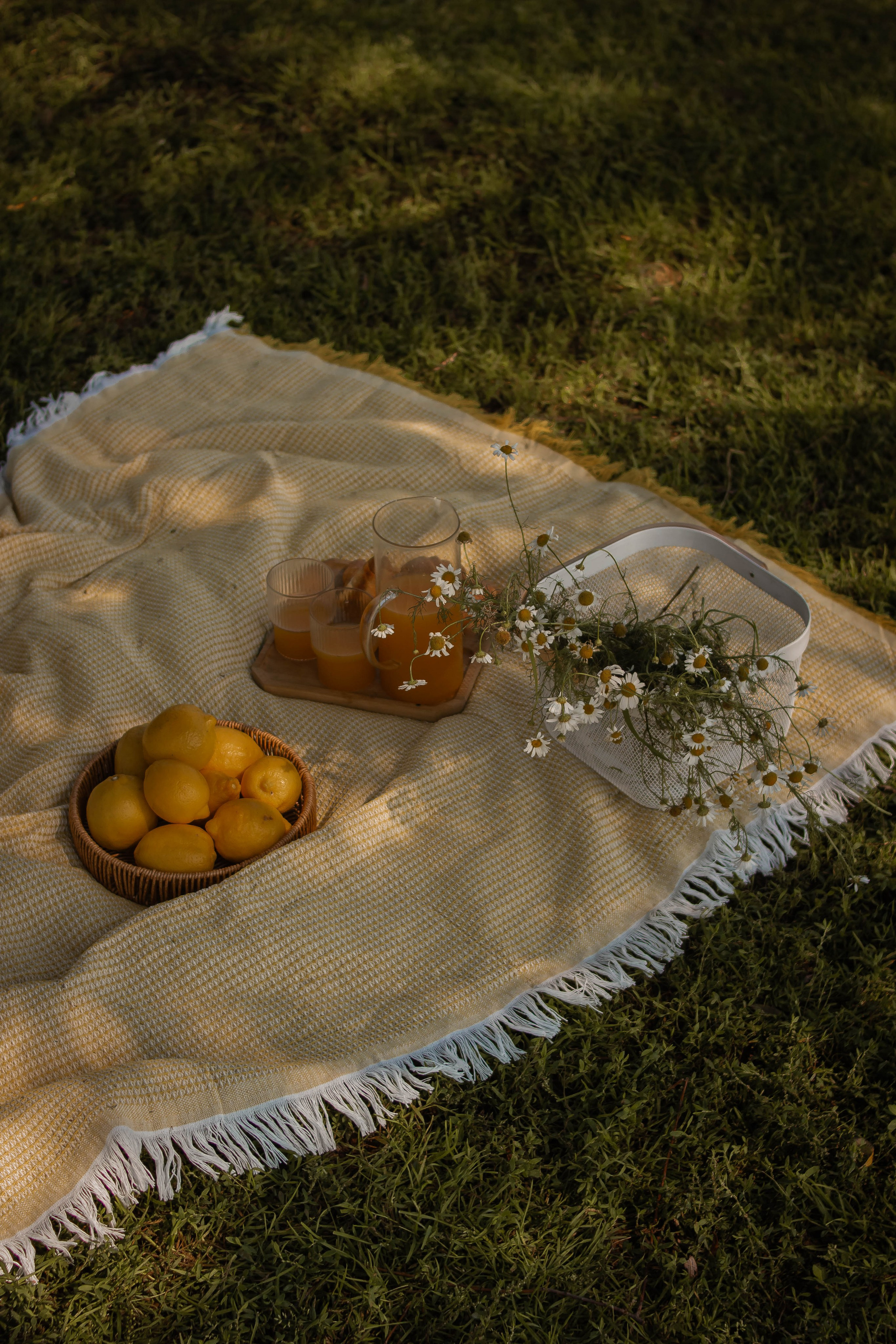 Лимоны, круассаны и улыбки. Семейный и детский фотограф в Павловском Посаде Сарапкина Наталья