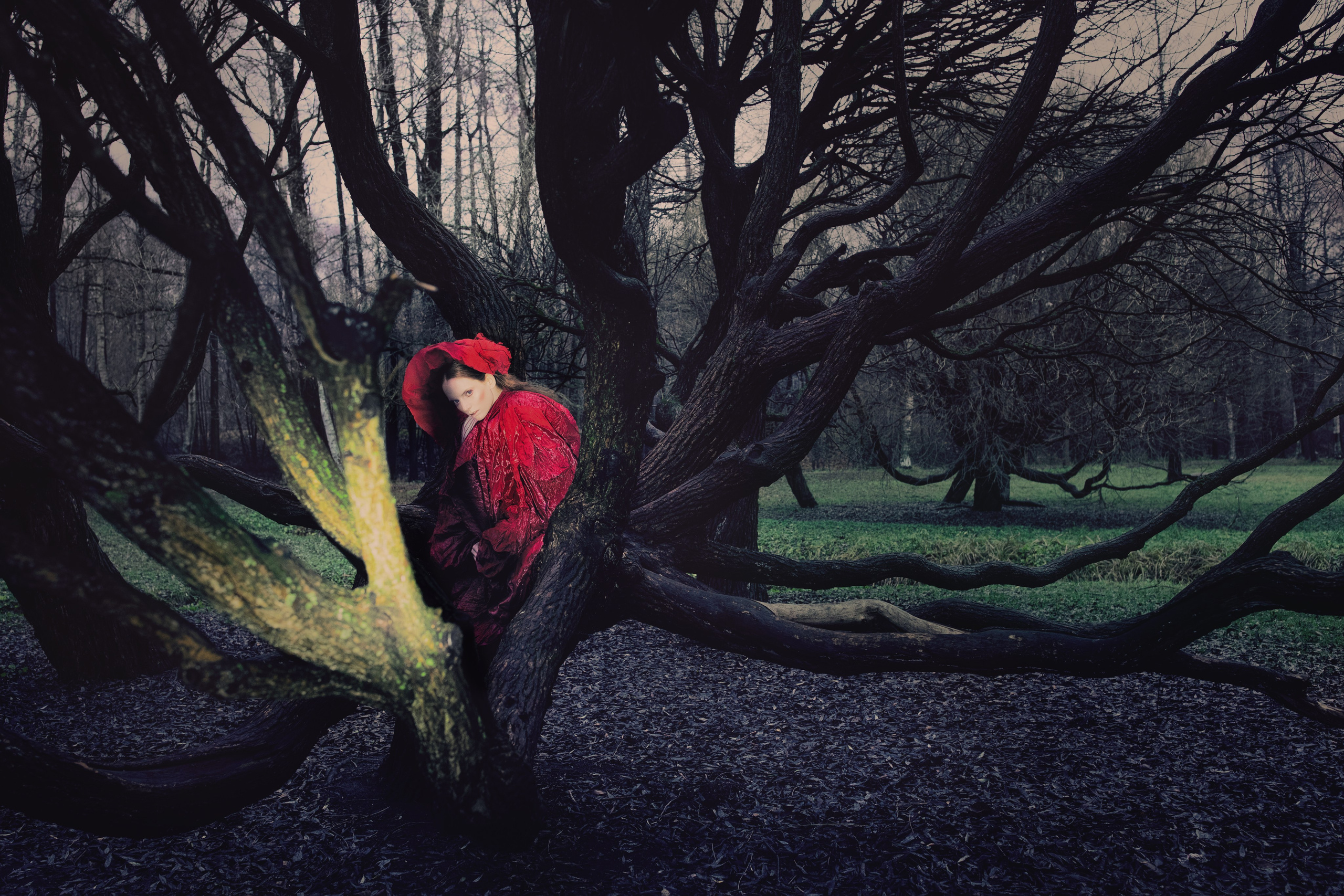 Портретная фотография. Фотохудожник Дарья Берг в Санкт-Петербурге и Москве
