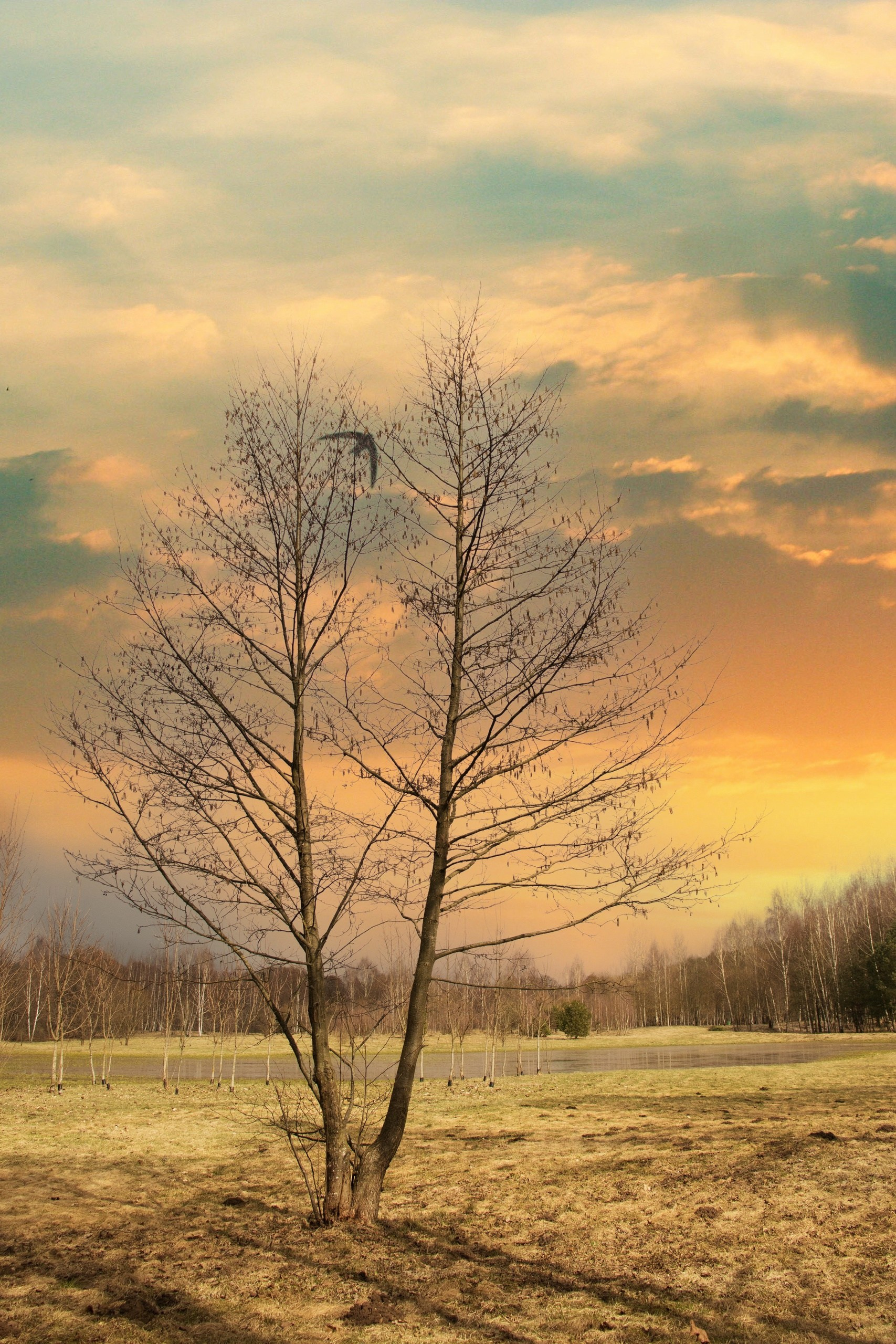 До/после ученики (вебинар). Наталья Рапопорт. Онлайн-курсы по фотографии и съемке видео