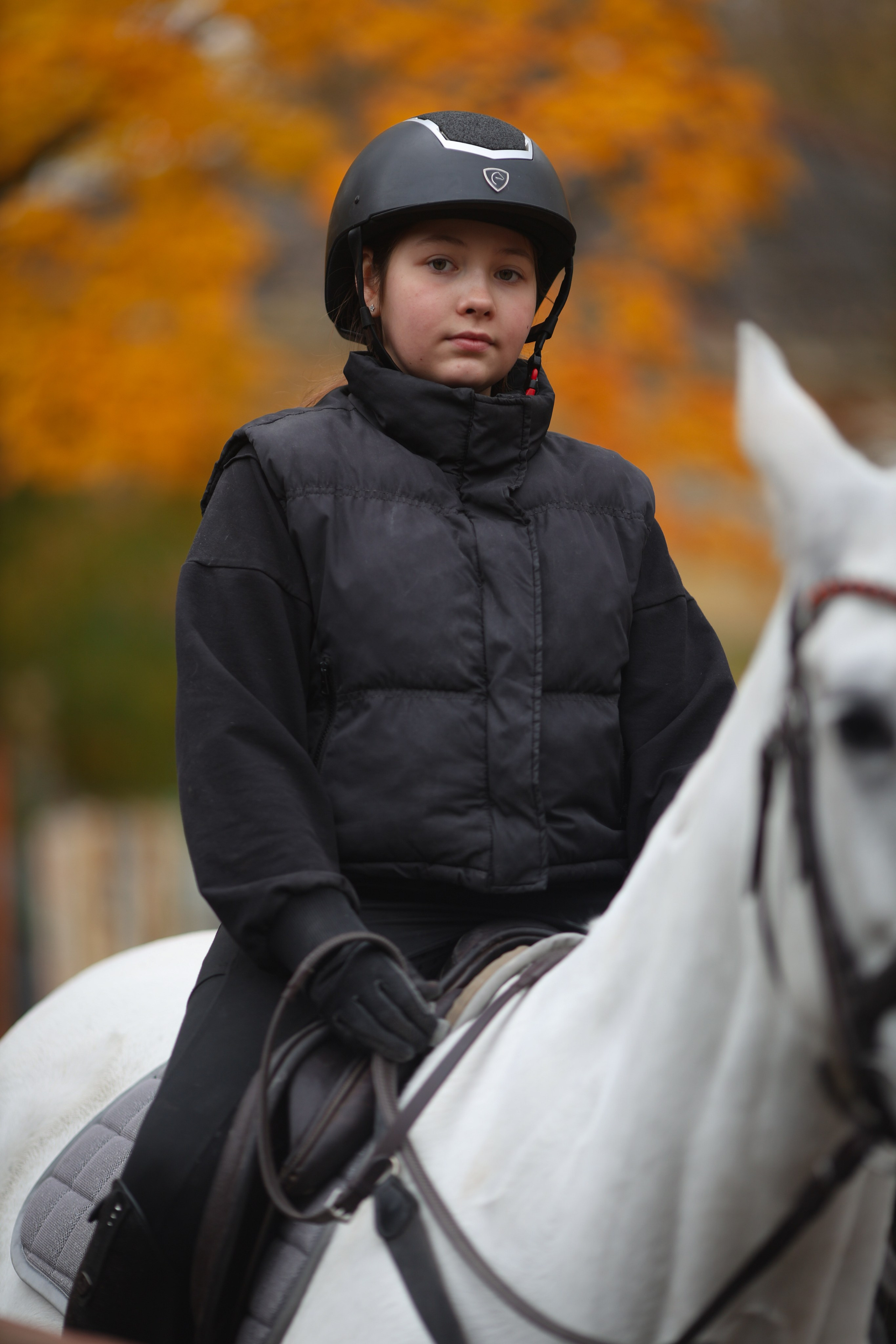 Фотосессия с животными. Фотограф Алина Рошаль. С 2017 года ловлю эмоции и превращаю их в нежные воспоминания для вас в Москве и Подмосковье