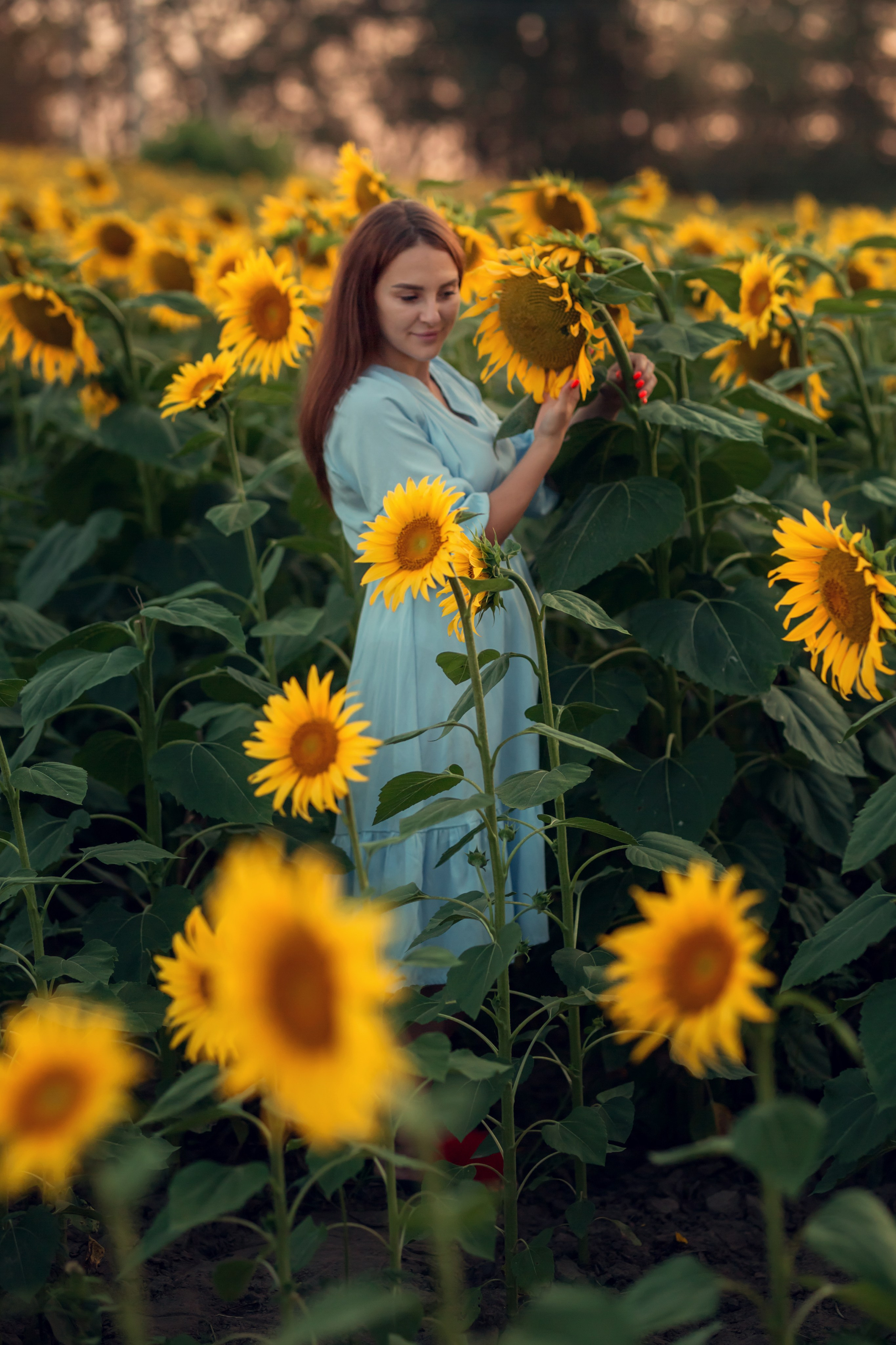 Подсолнухи. Семейный и детский фотограф Екатерина Савёлова