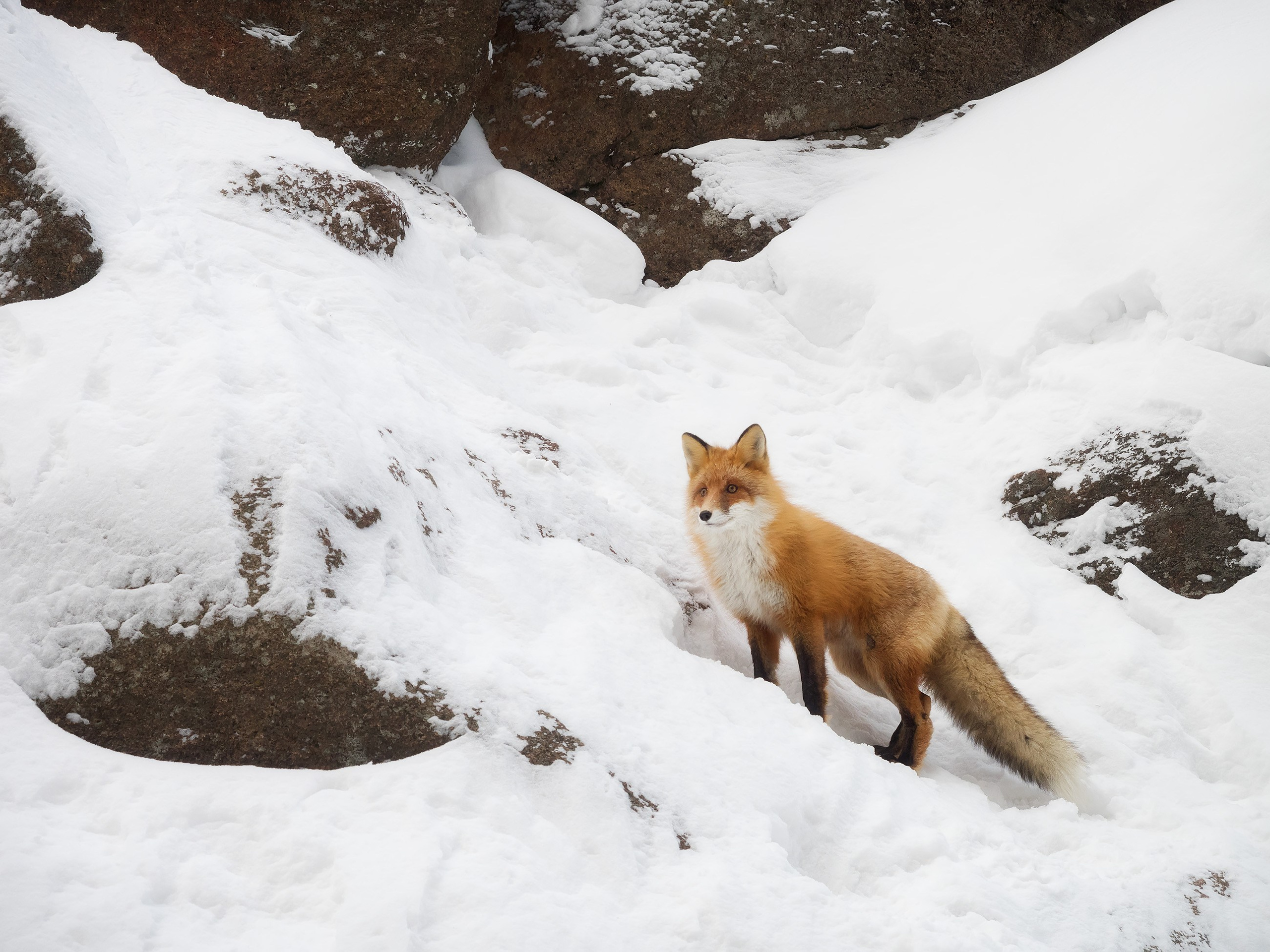 Александр Лещёнок-фотограф-пейзажист / г. Красноярск