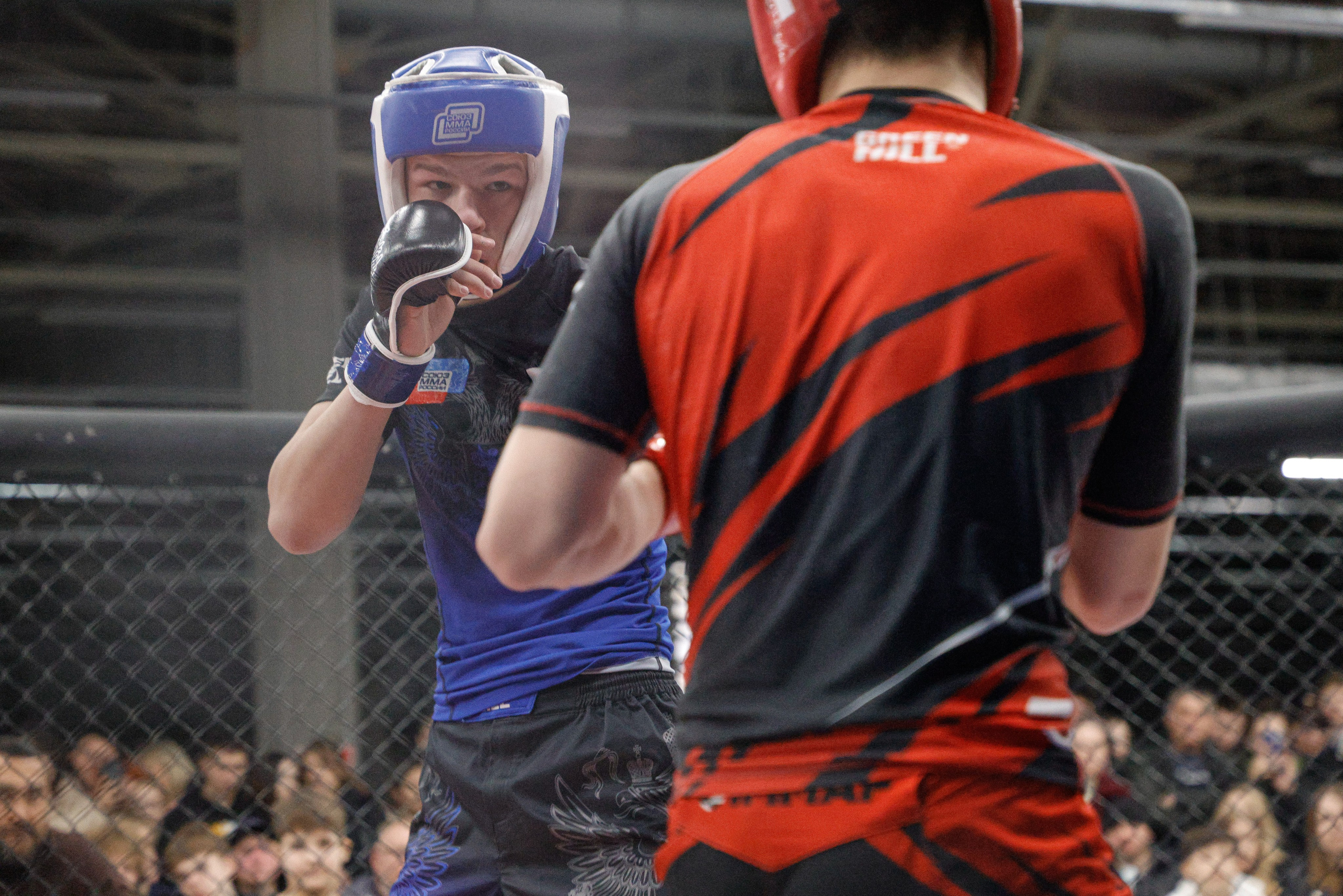 ММА Автолегион 2026. Фотограф в Новосибирске Александр Иванов