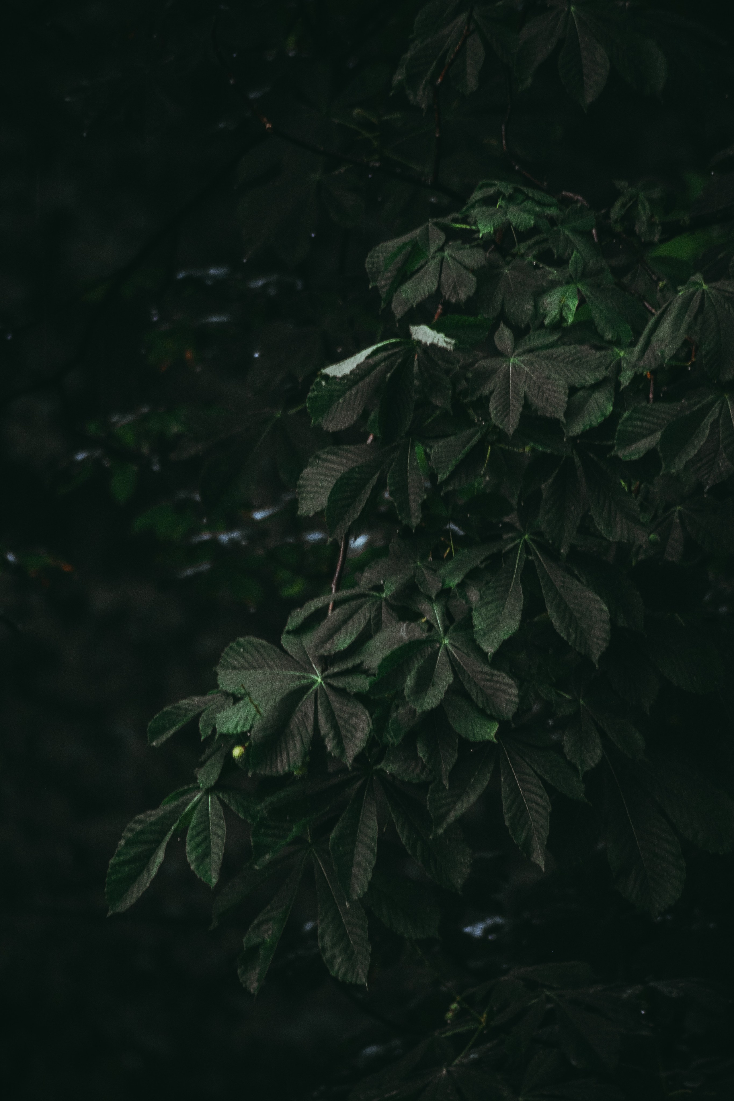 Т Е П Л Ы Й — З Е Л Е Н Ы Й. — Digital Noise —