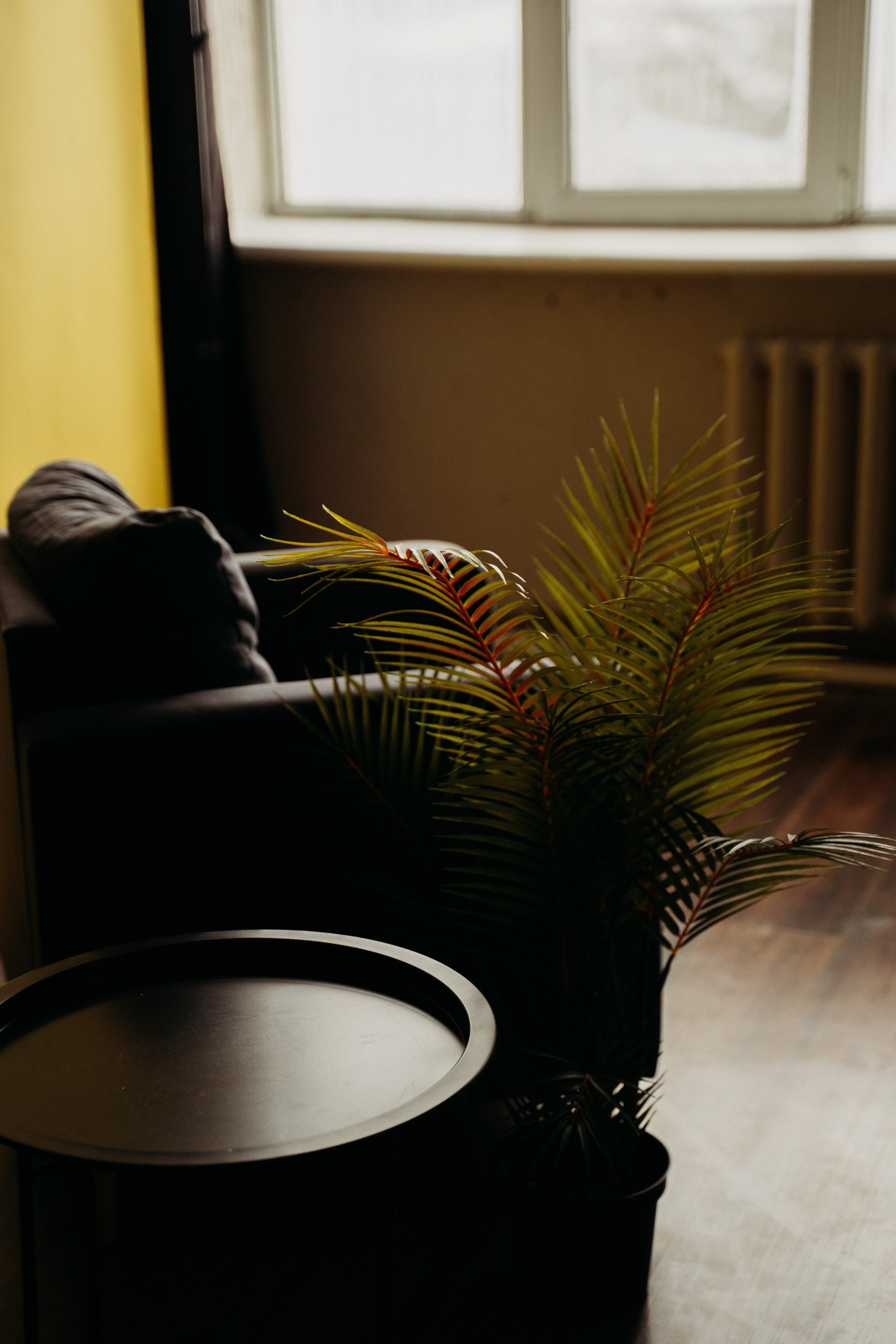 Студийные Локации