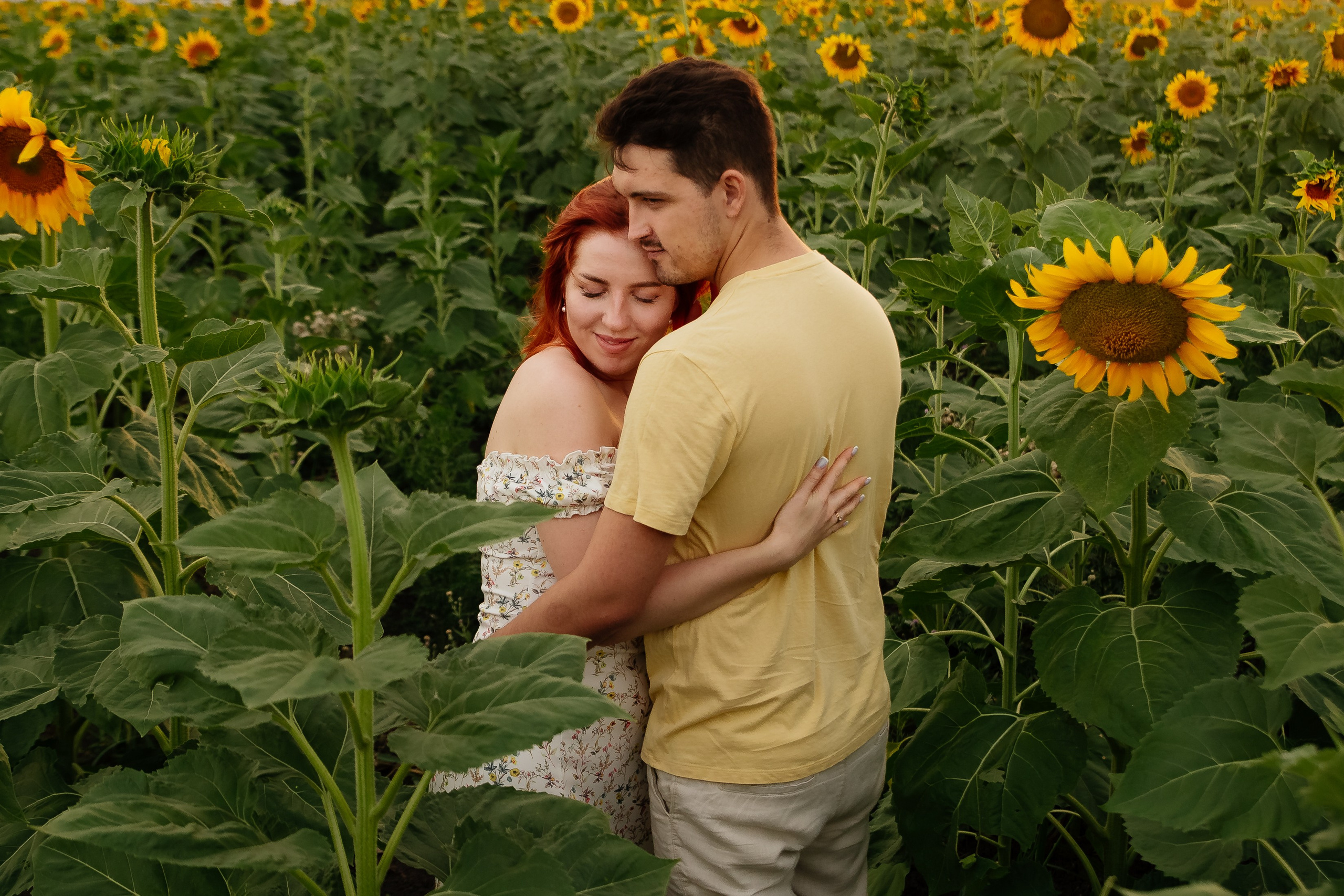 Подсолнухи. Свадебный и семейный фотограф в Краснодаре Илонна Ковалева