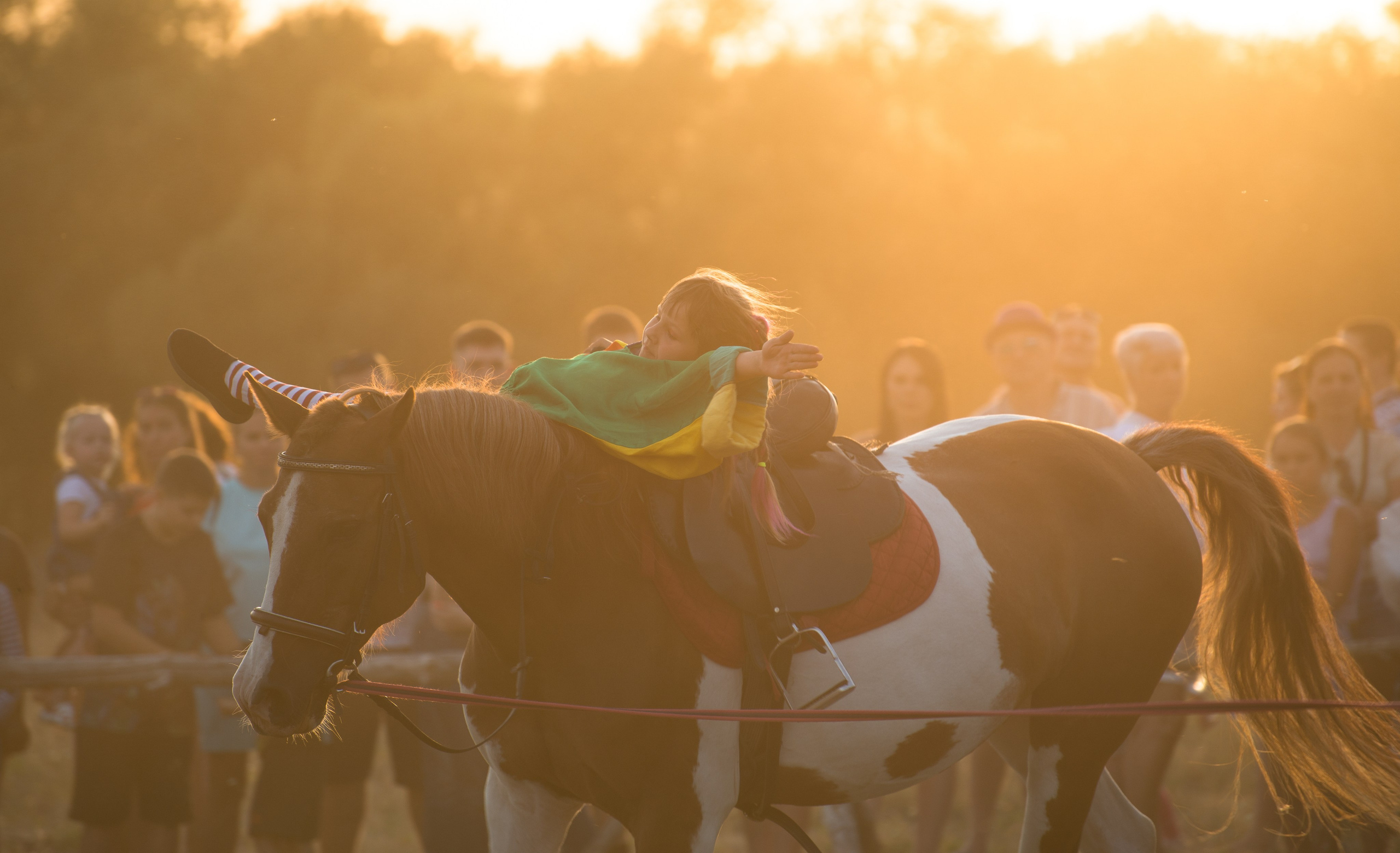 Карнавал Догвинтер. Конный фотограф в Саратове Юлия Иванова