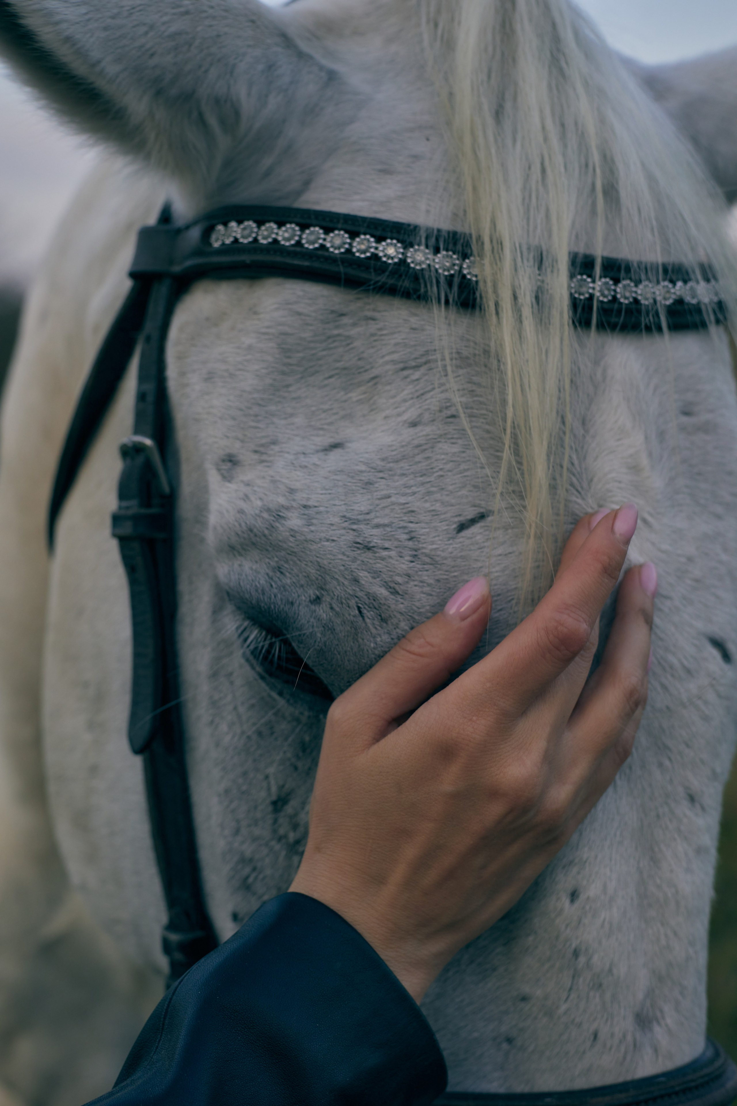ЕВГЕНИЯ И ПАРУС ПРОГУЛКА 1 час. Паренская Елена. Ню фотограф, портреты, индивидуальные фотосессии