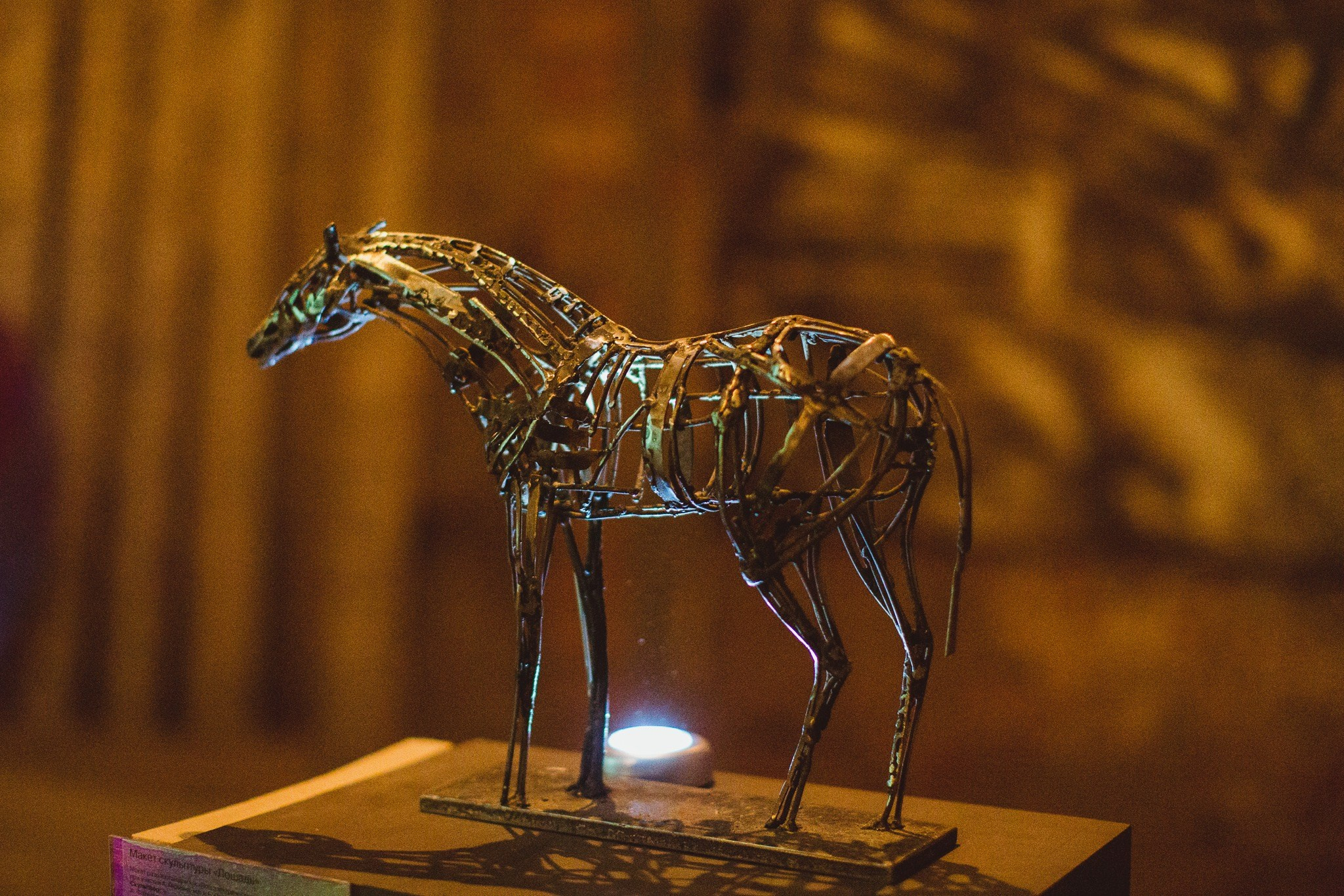 Нежная лошадь_СПб_2014. Художник — скульптор Антонина Фатхуллина