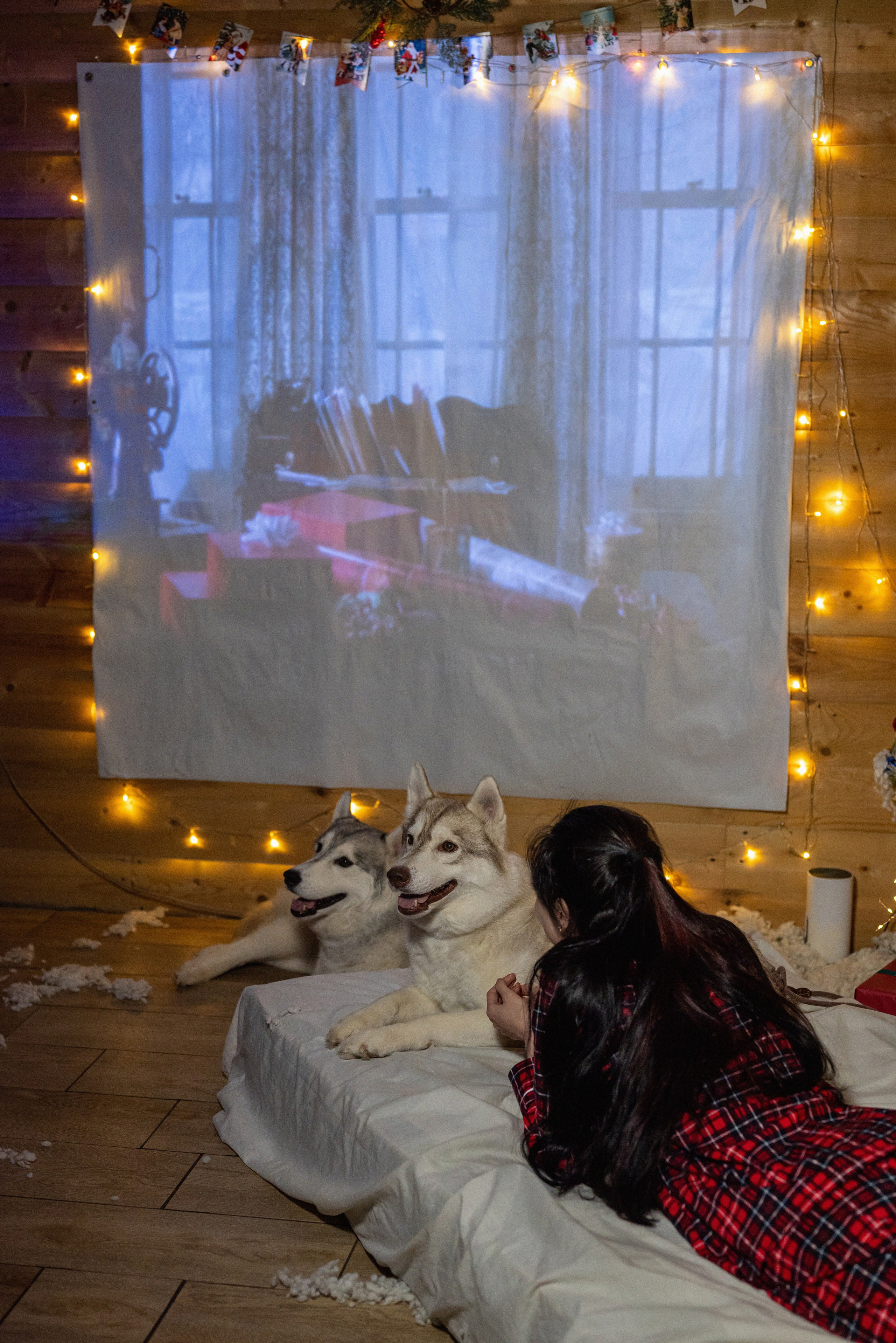 Фотопроект с хаски 2024 г. Фотограф в городе Салават