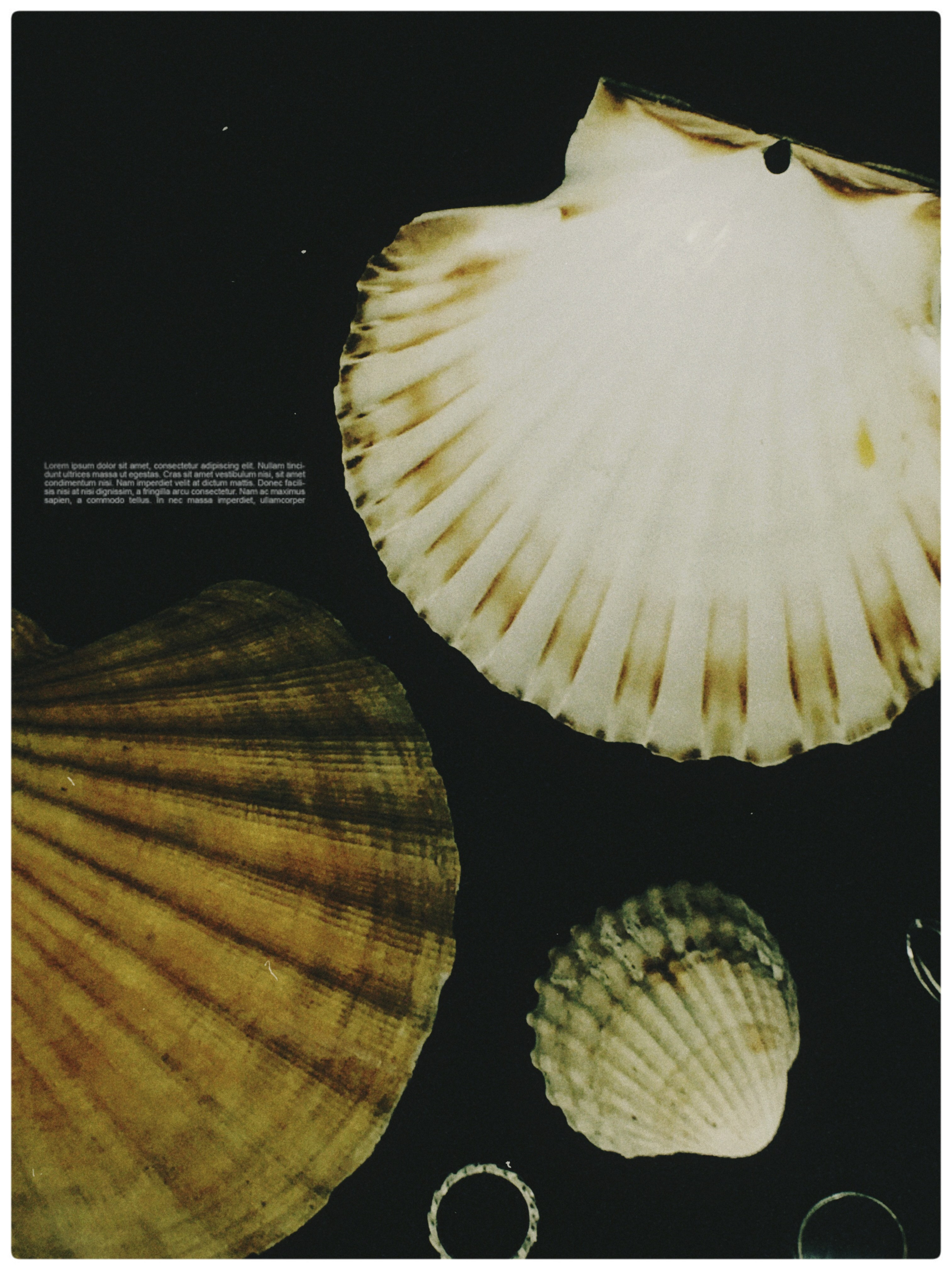 Jewelry. Коммерческий фотограф в Праге Кисель Екатерина