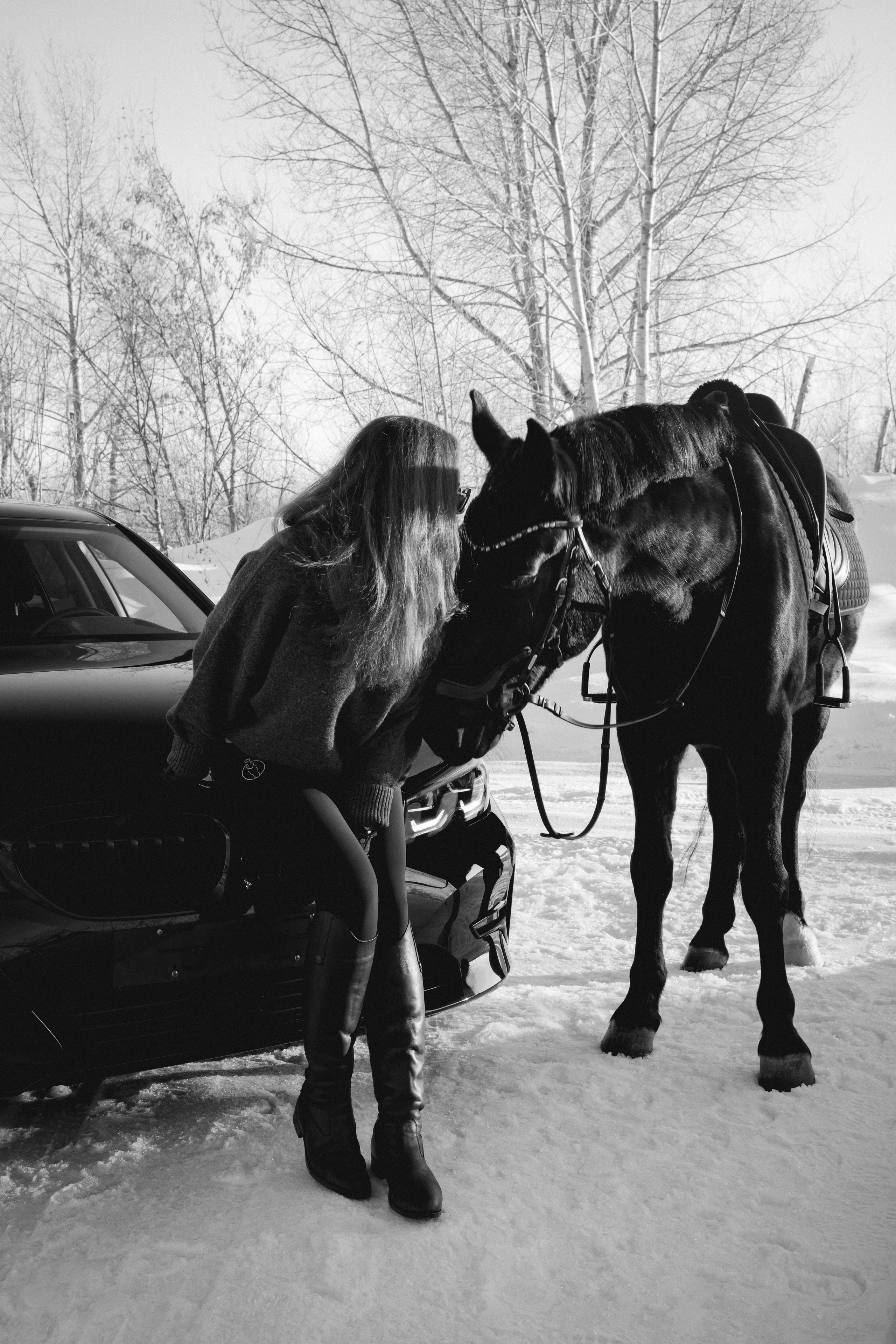 BMW G20 with horse. Автомобильный фотограф и видеограф в Новосибирске|Александра Косухина