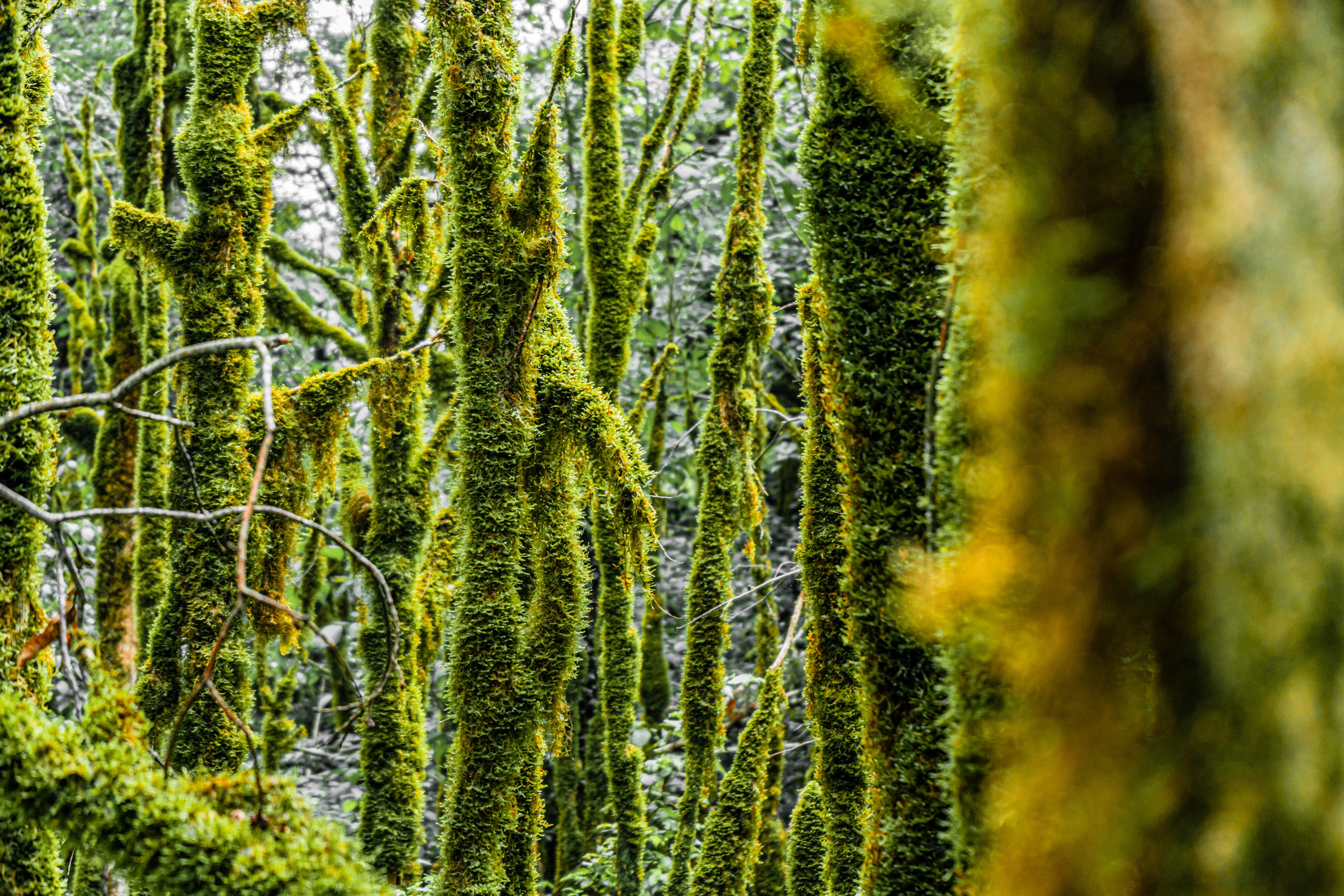 Натура. Владислав Кожух | Фотограф | Видеограф | Режиссёр