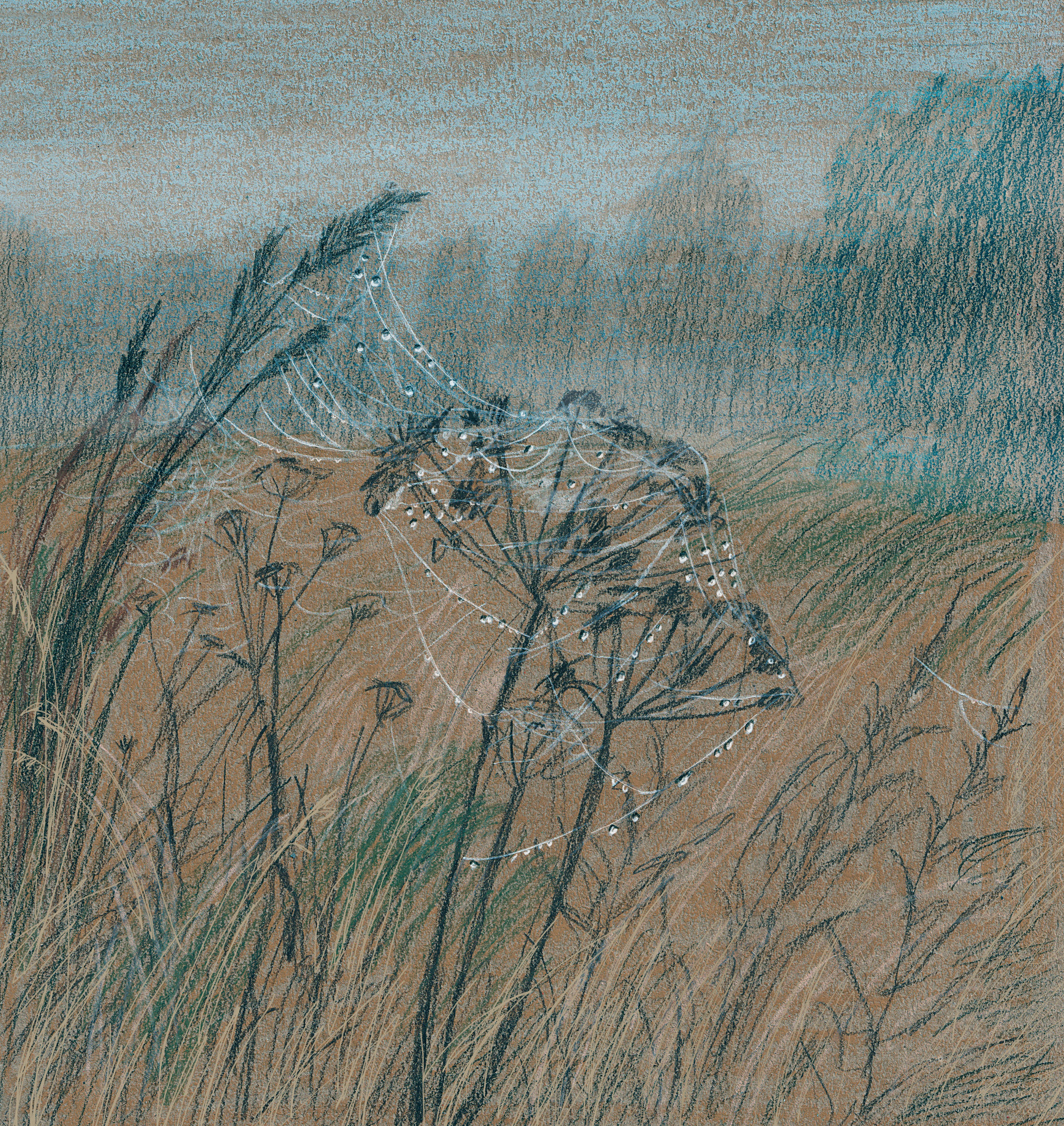 «Таинственный серый» книга Екатерины Мартиновской. Художник Карина Милосердова