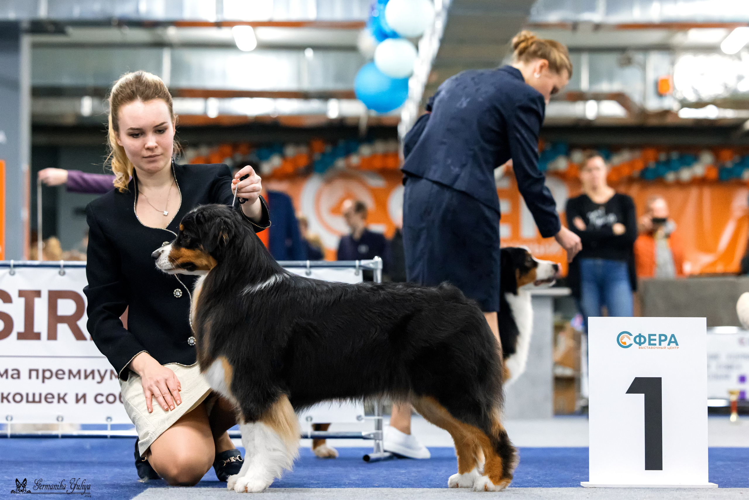 Сфера 28.01. и 4.02.2024. Фотограф-анималист Юлия Германика