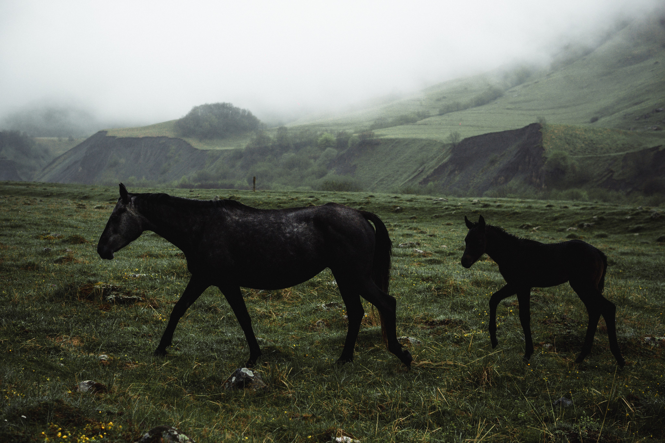 EXHIBITION. Репортажный и интерьерный фотограф, фотохудожник