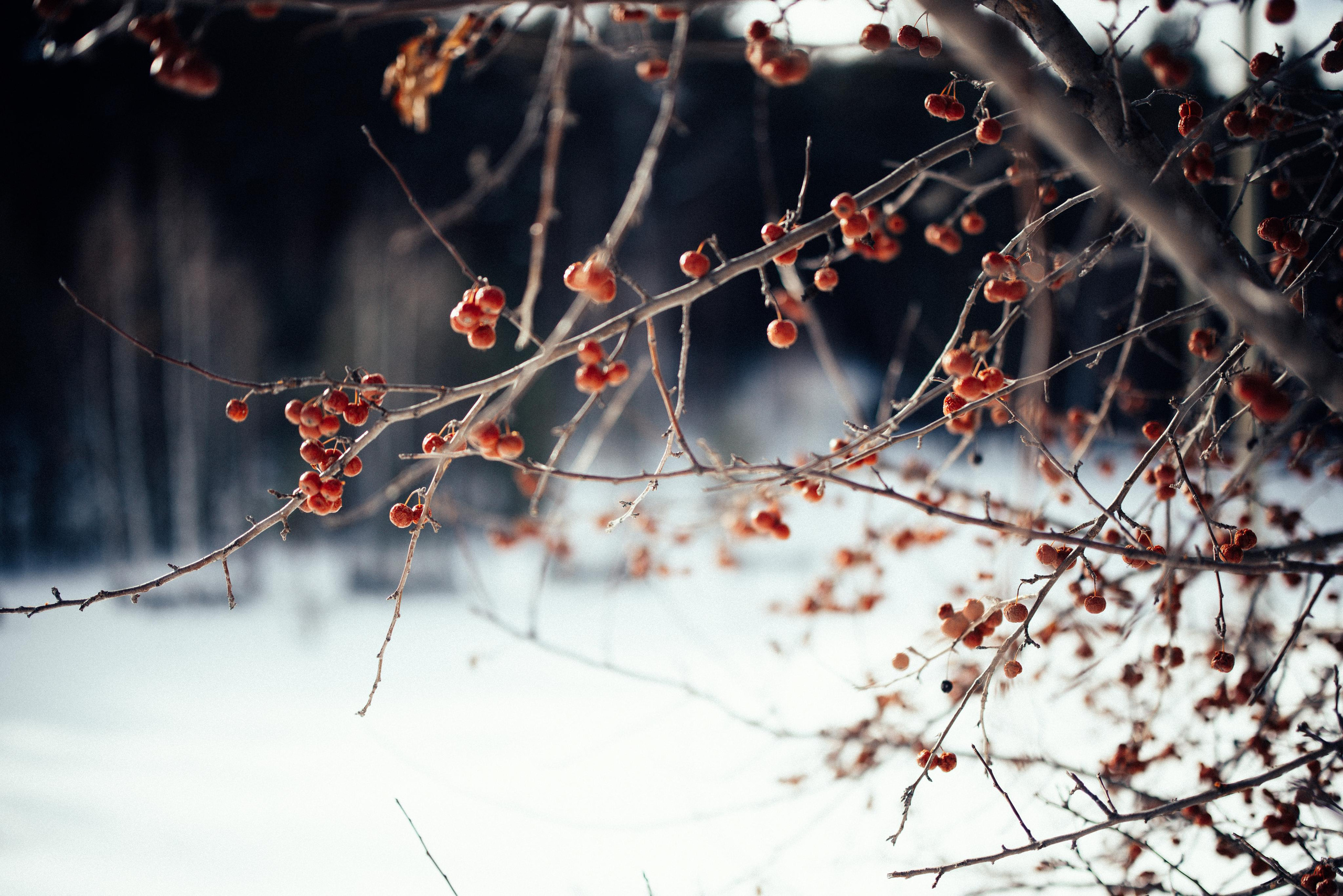 Прогулка. Портретный арт-фотограф в Екатеринбурге Алена Нестерова