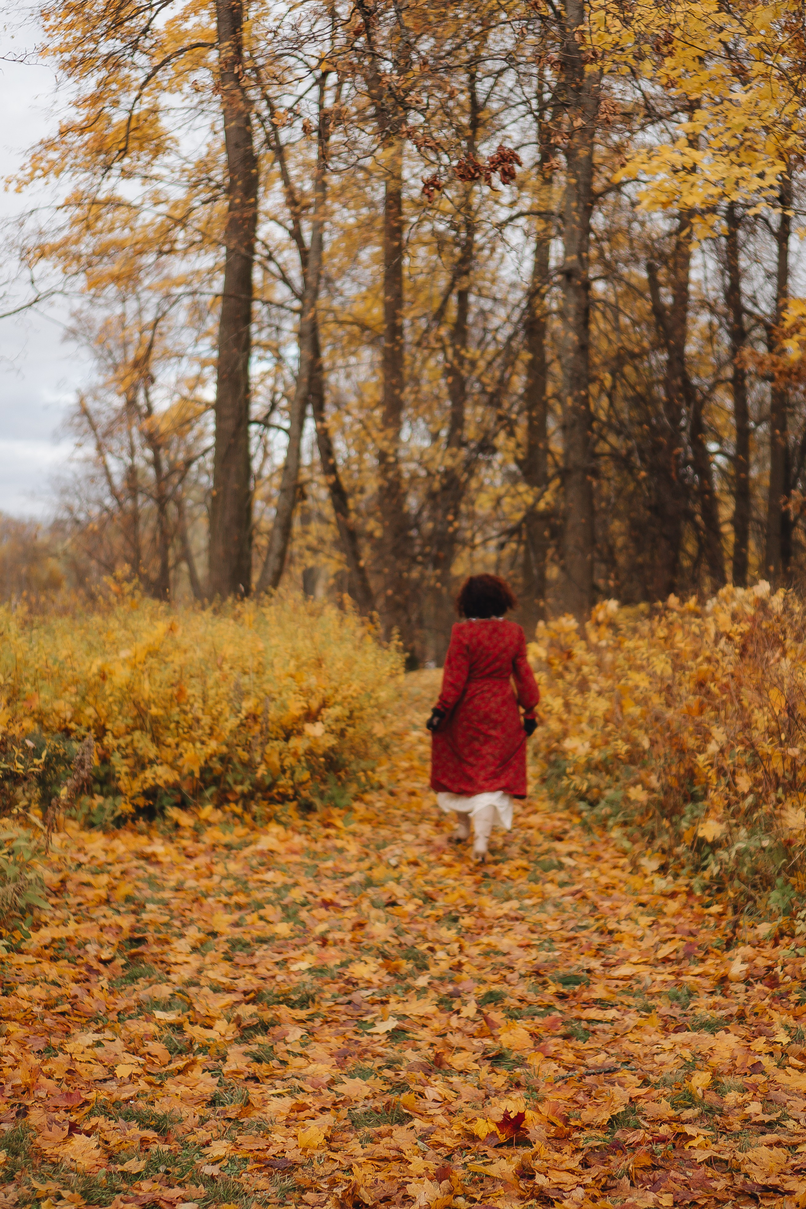 Осенний парк. Профессиональный фотограф, Санкт-Петербург — Виктория Богомолова