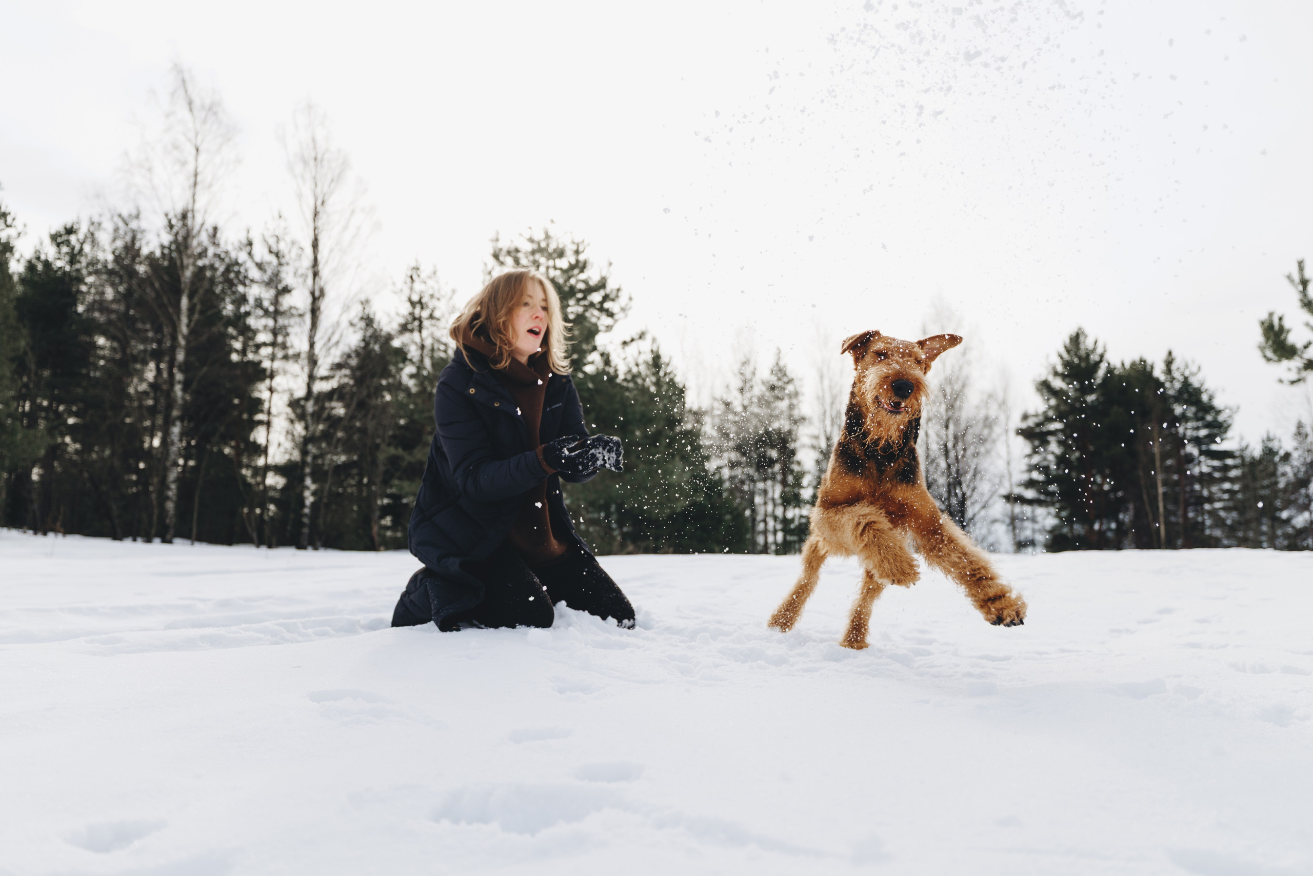 Оля и Хард. Фотограф анималист Осипчикова Мария