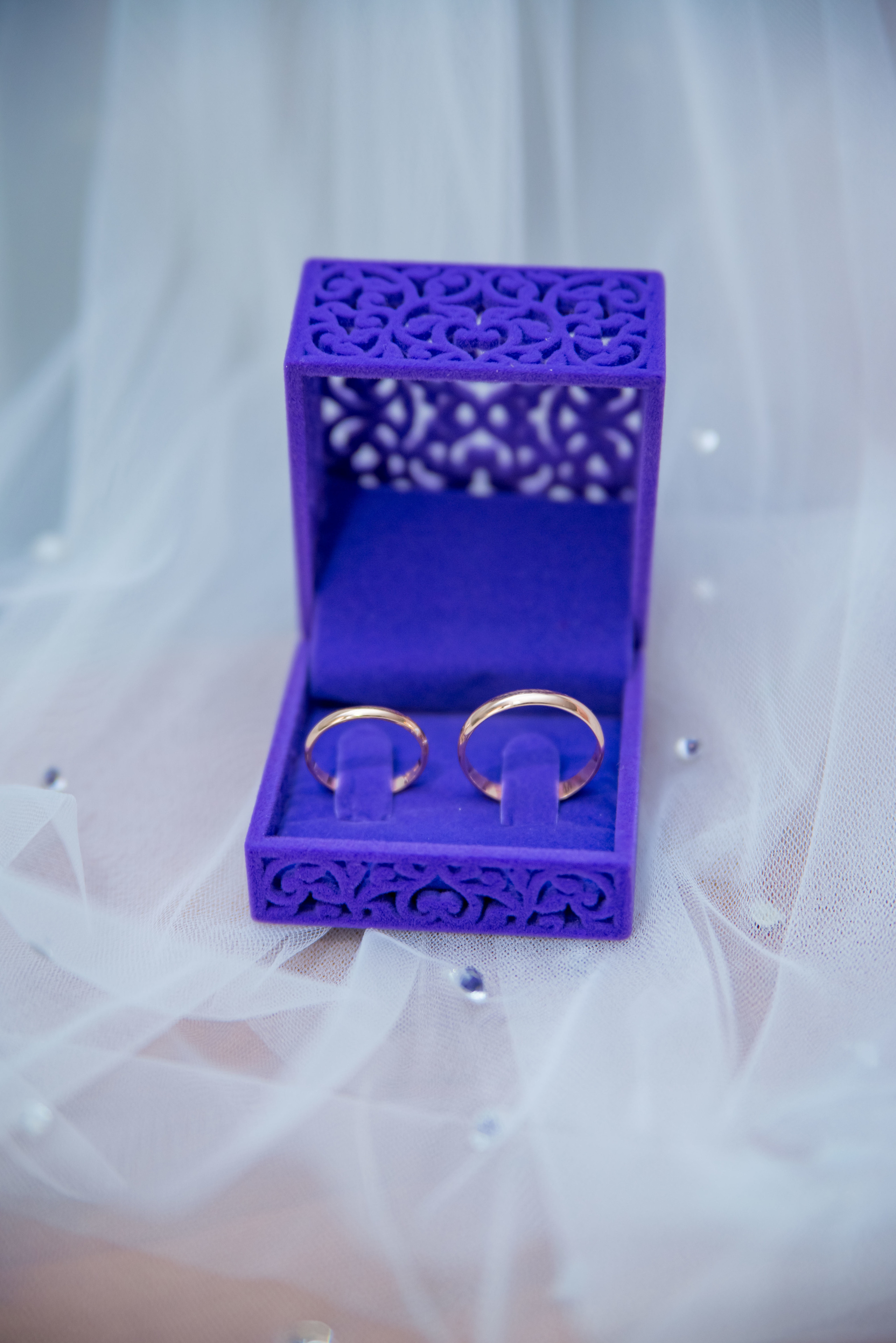 В Кемерово. Фотограф, видеооператор Нина Коршунова