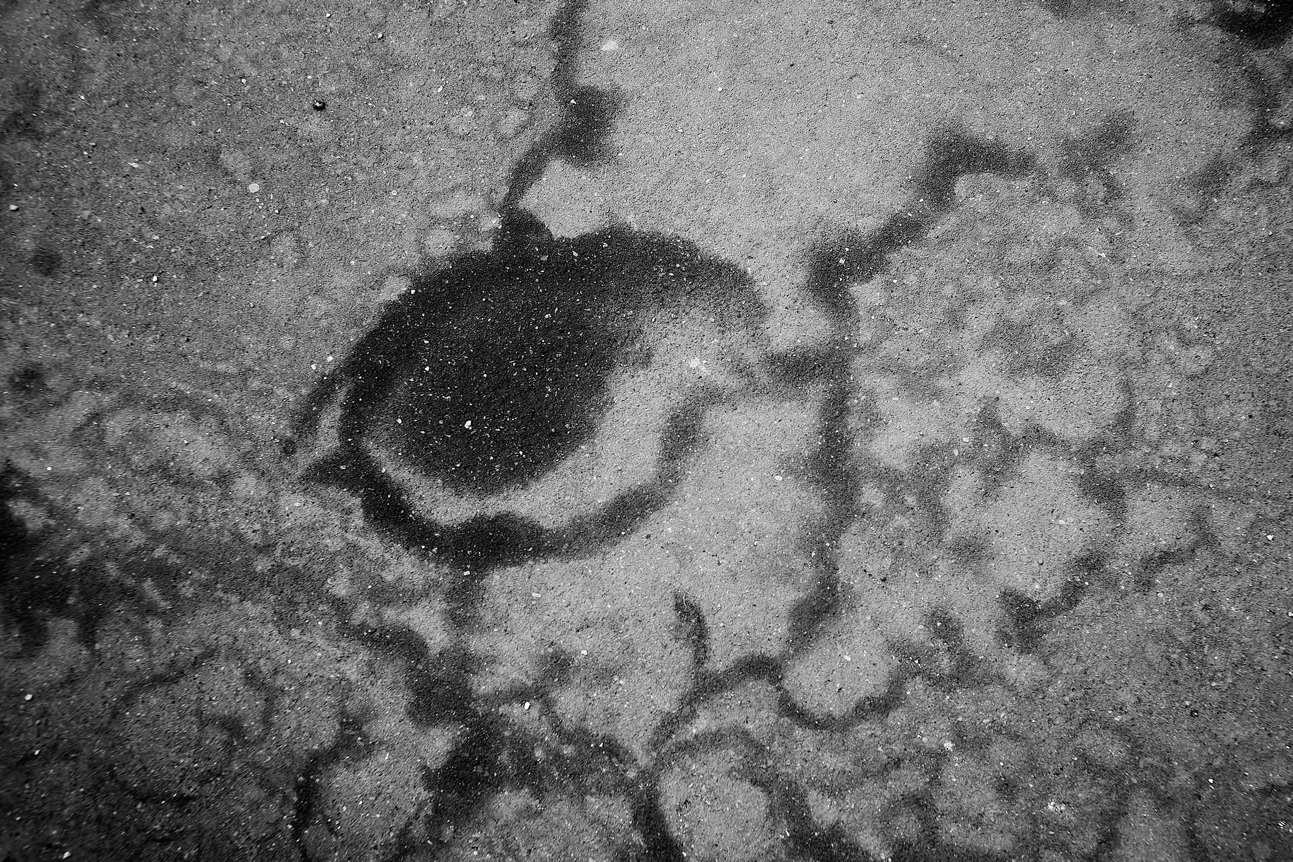 Абстракция 23-24г. Фотограф и оператор мероприятий, концертов и портретов в городе Москва