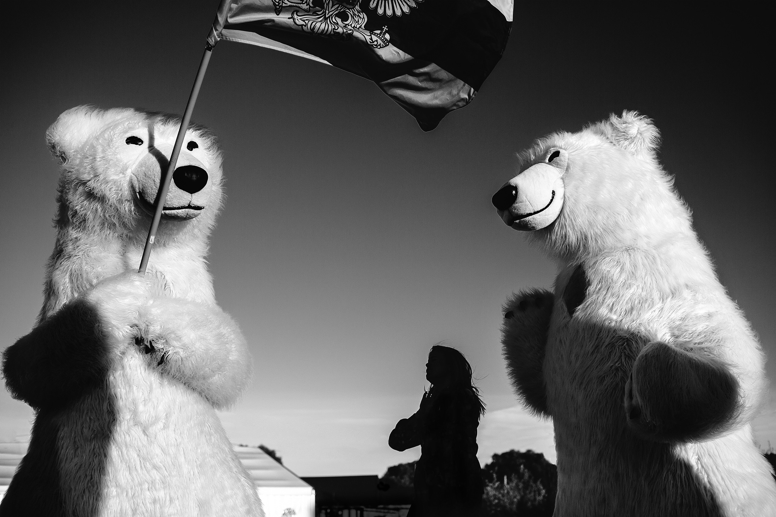 Топ Аниматор. Свадебный фотограф Сергей Сергеев — Нижний Новгород