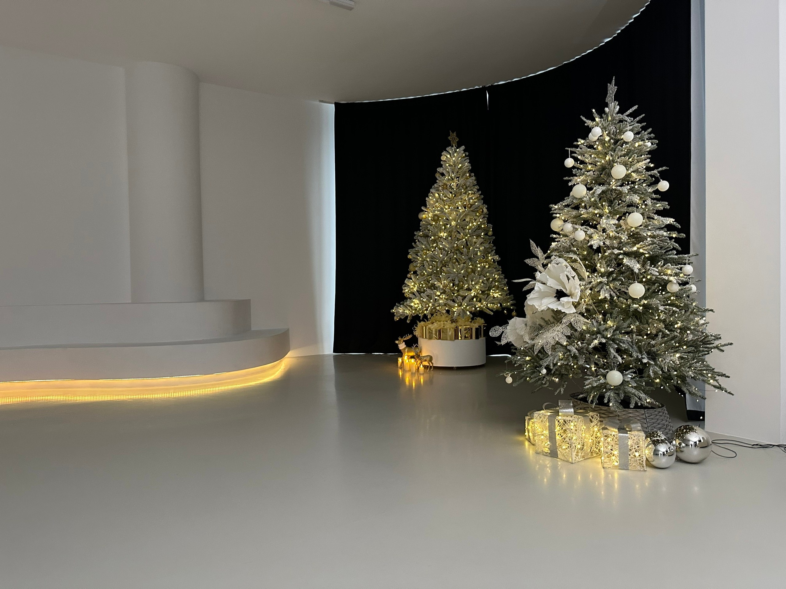 Фотостудия NUDE, зал Циклорама (Авиационная 27, ТЦ АБцентр, вход 3, 3 этаж). Портретный, семейный, свадебный фотограф в Брянске Маргарита Василькова