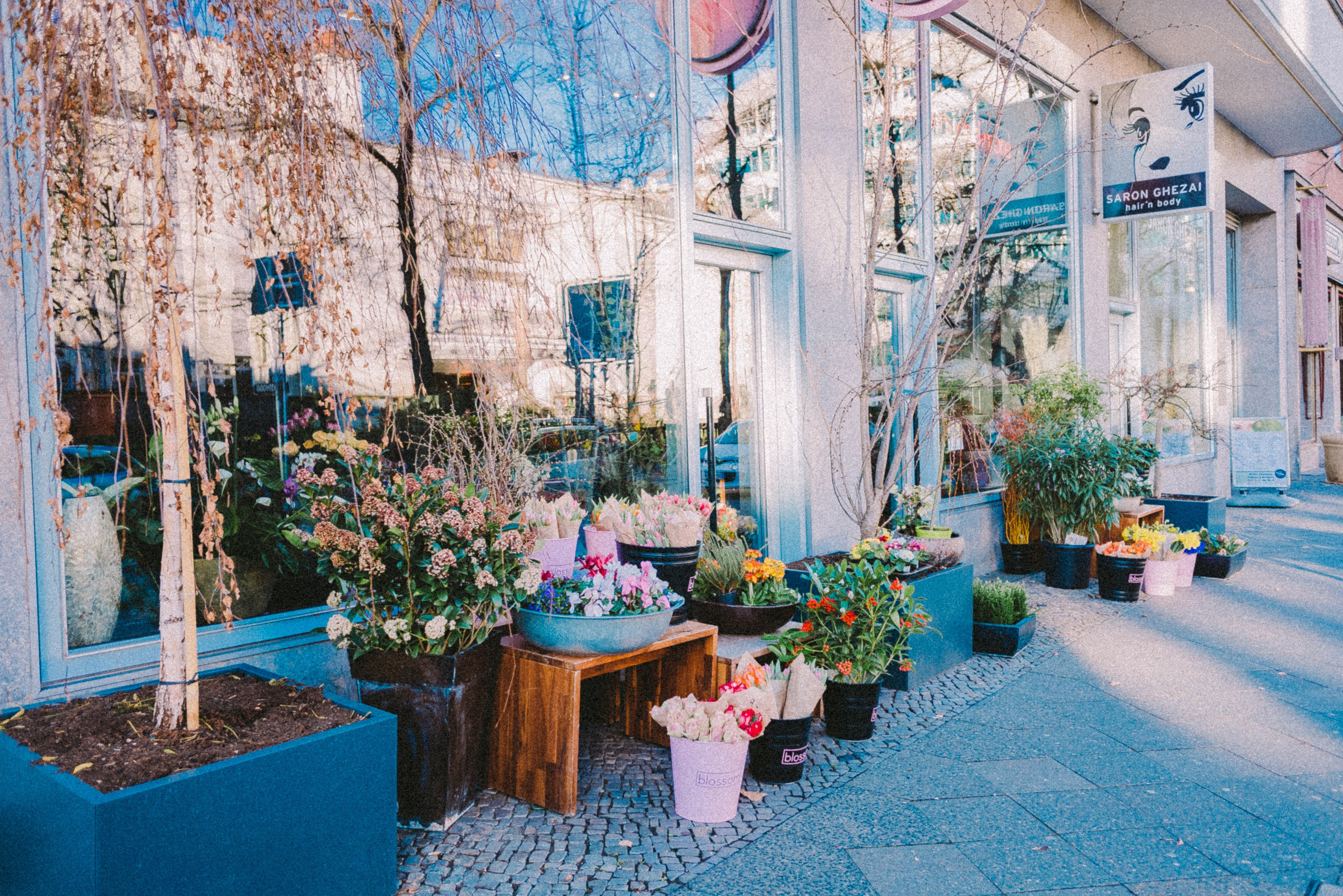 Берлин. Аня Степанова