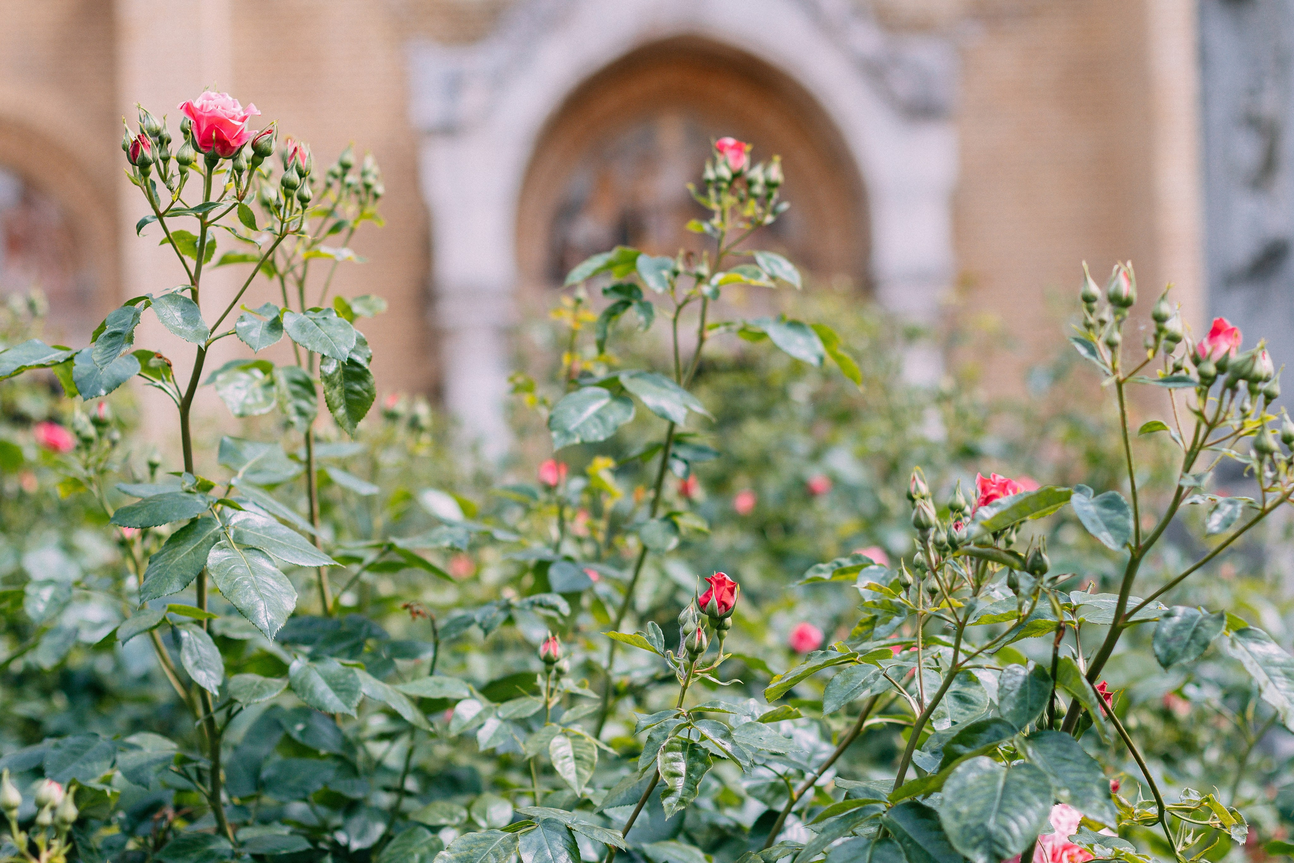 Будапешт. Аня Степанова