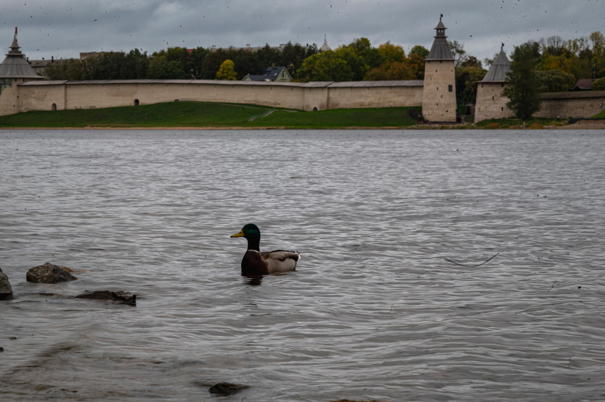 Псков. Октябрь 2023. Фотограф Роман Адлер