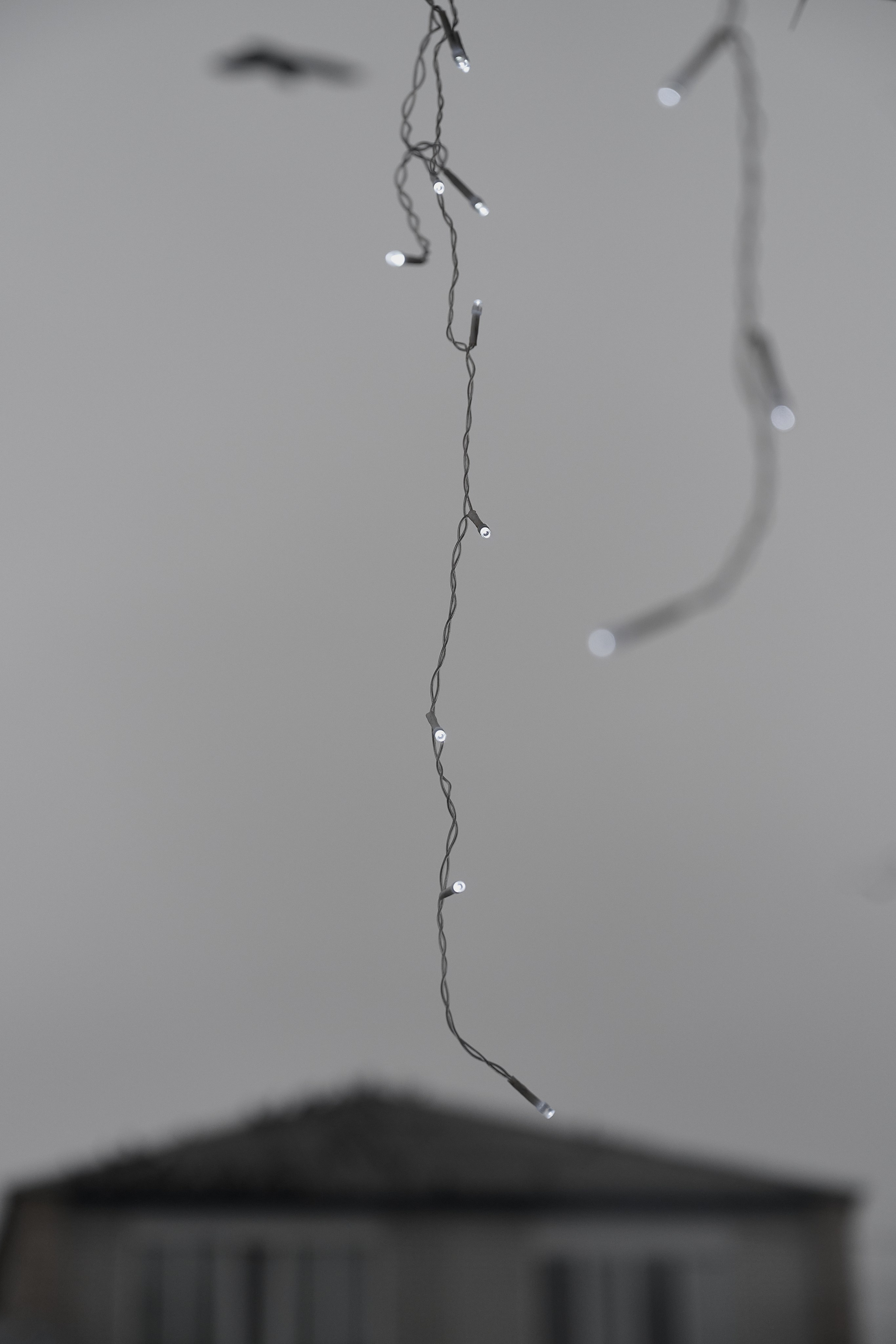 Дорога домой. Туман. Фотограф Роман Адлер