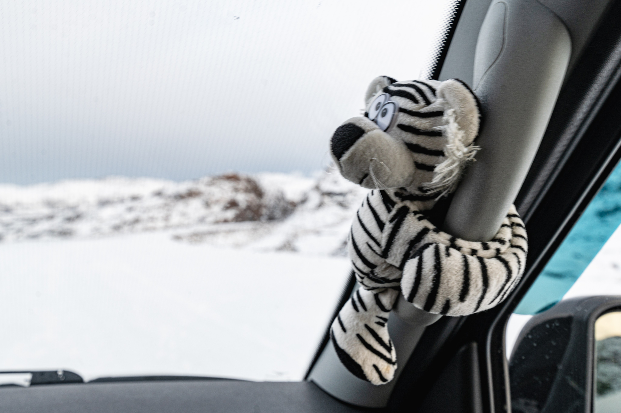 Териберка. Ноябрь 2023. Фотограф Роман Адлер