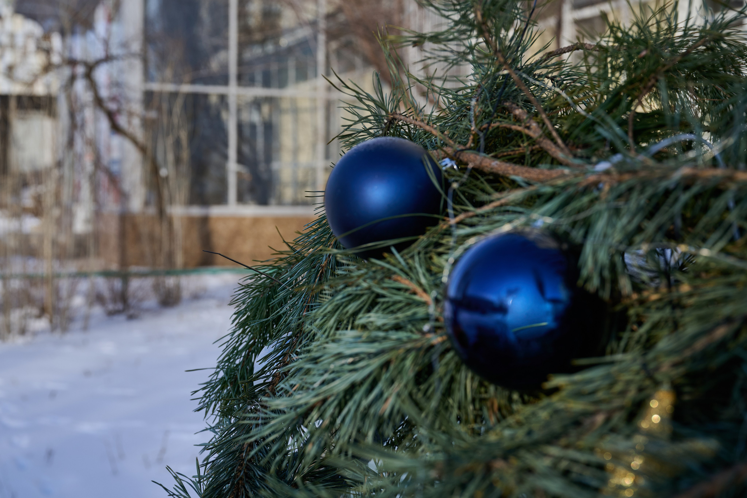 Северодонецк. Январь 2026. Фотограф Роман Адлер